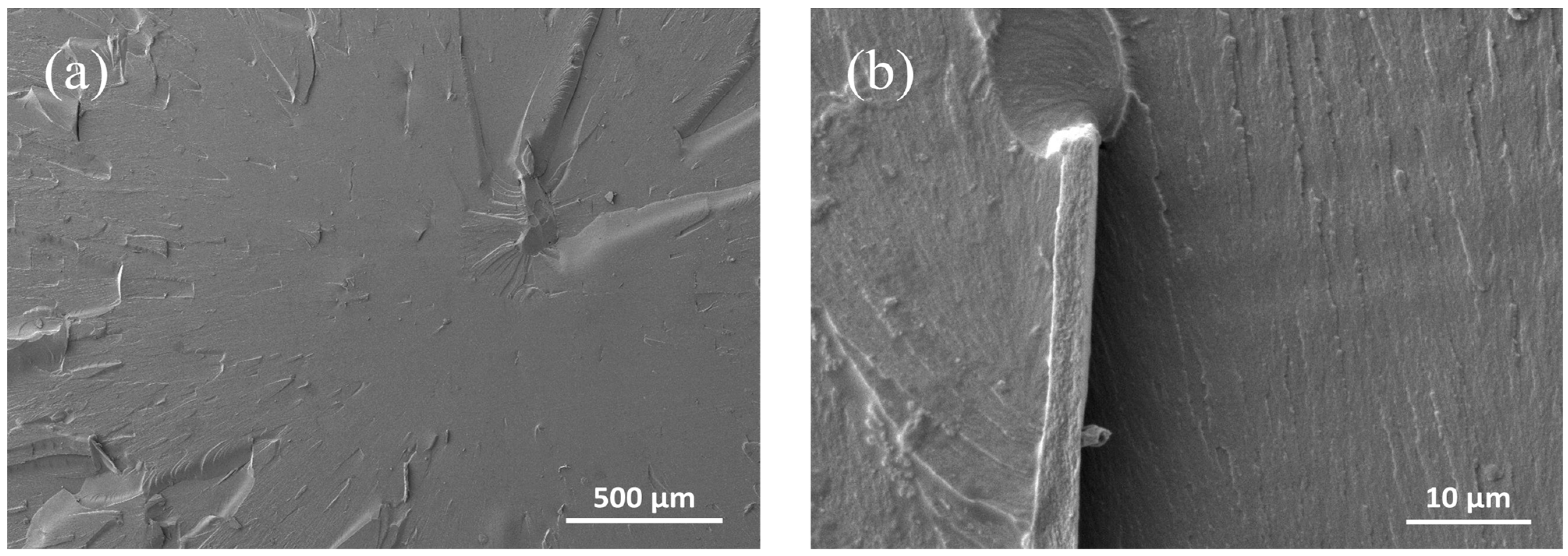 Applsci 11 06835 g006