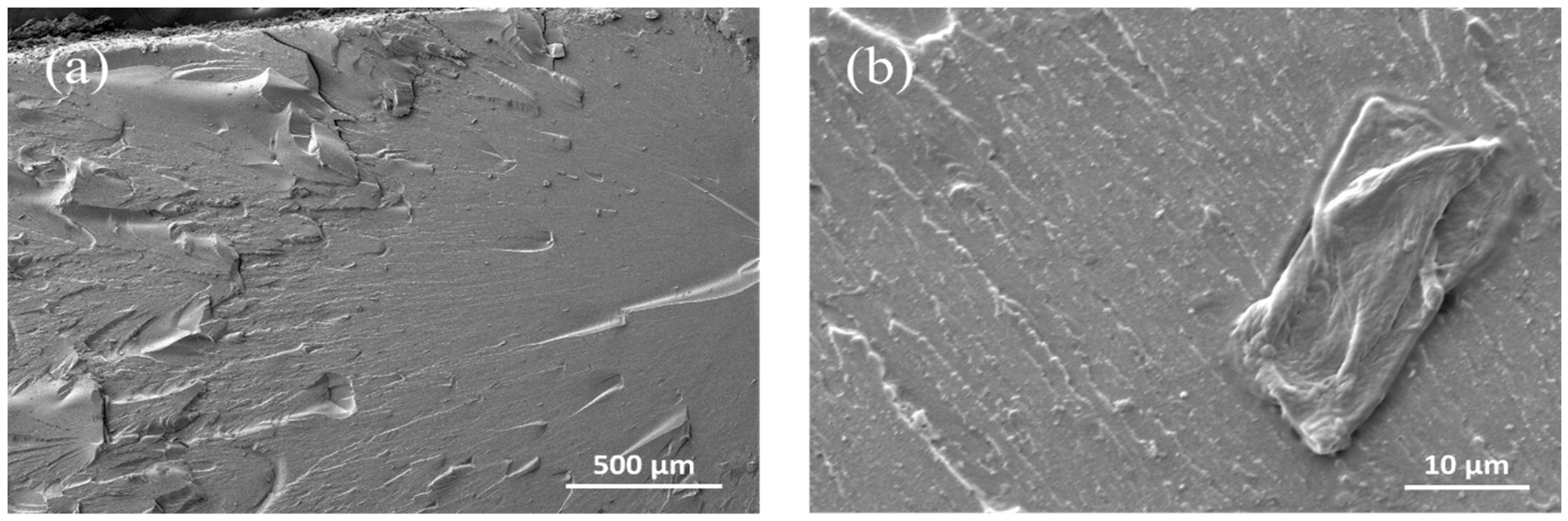 Applsci 11 06835 g007