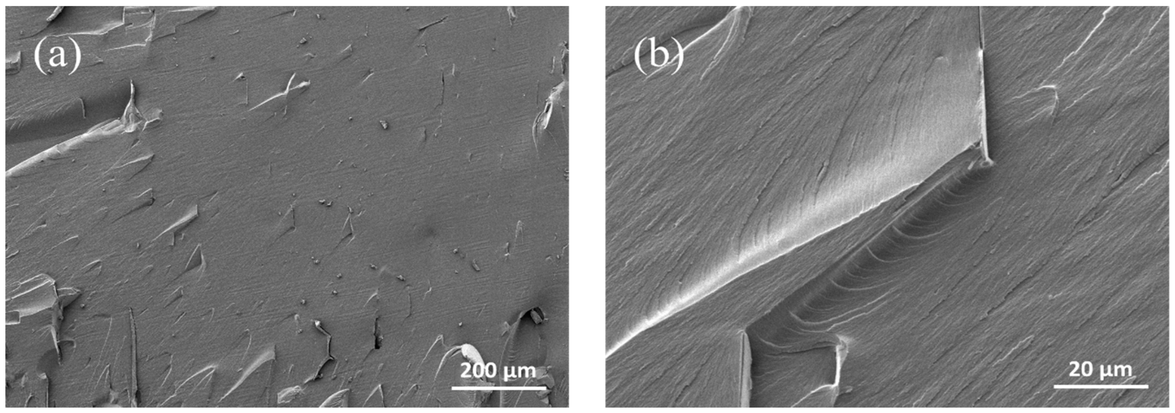 Applsci 11 06835 g008