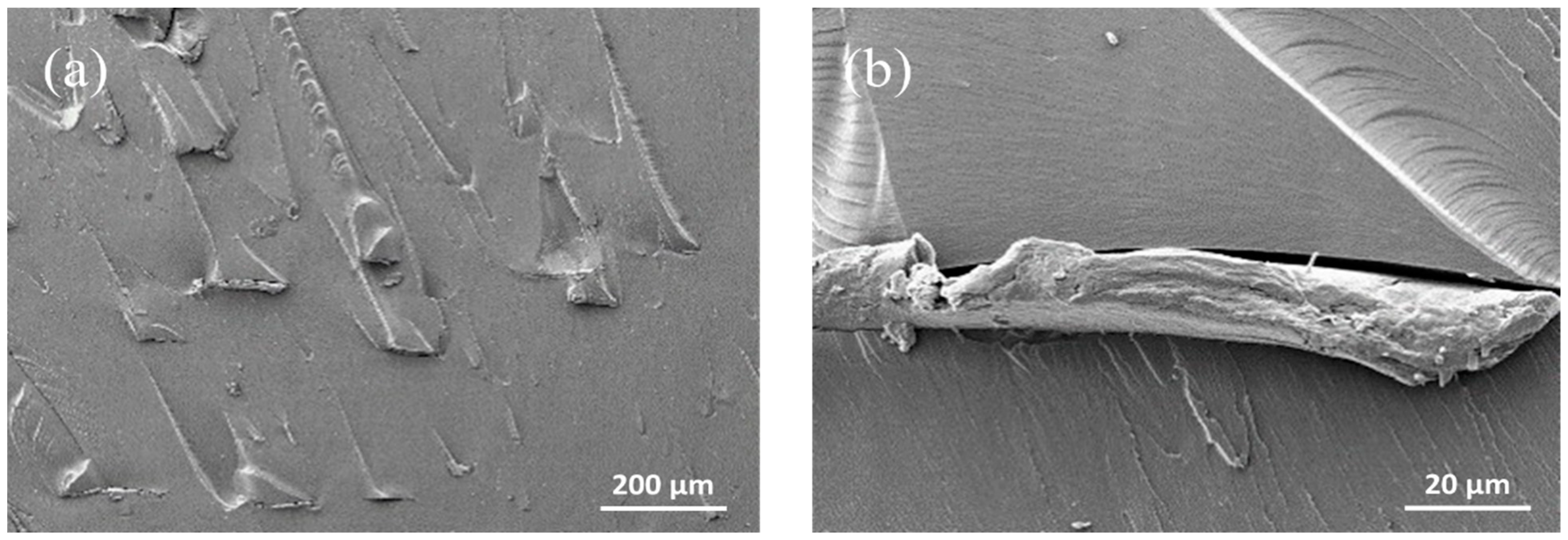 Applsci 11 06835 g009