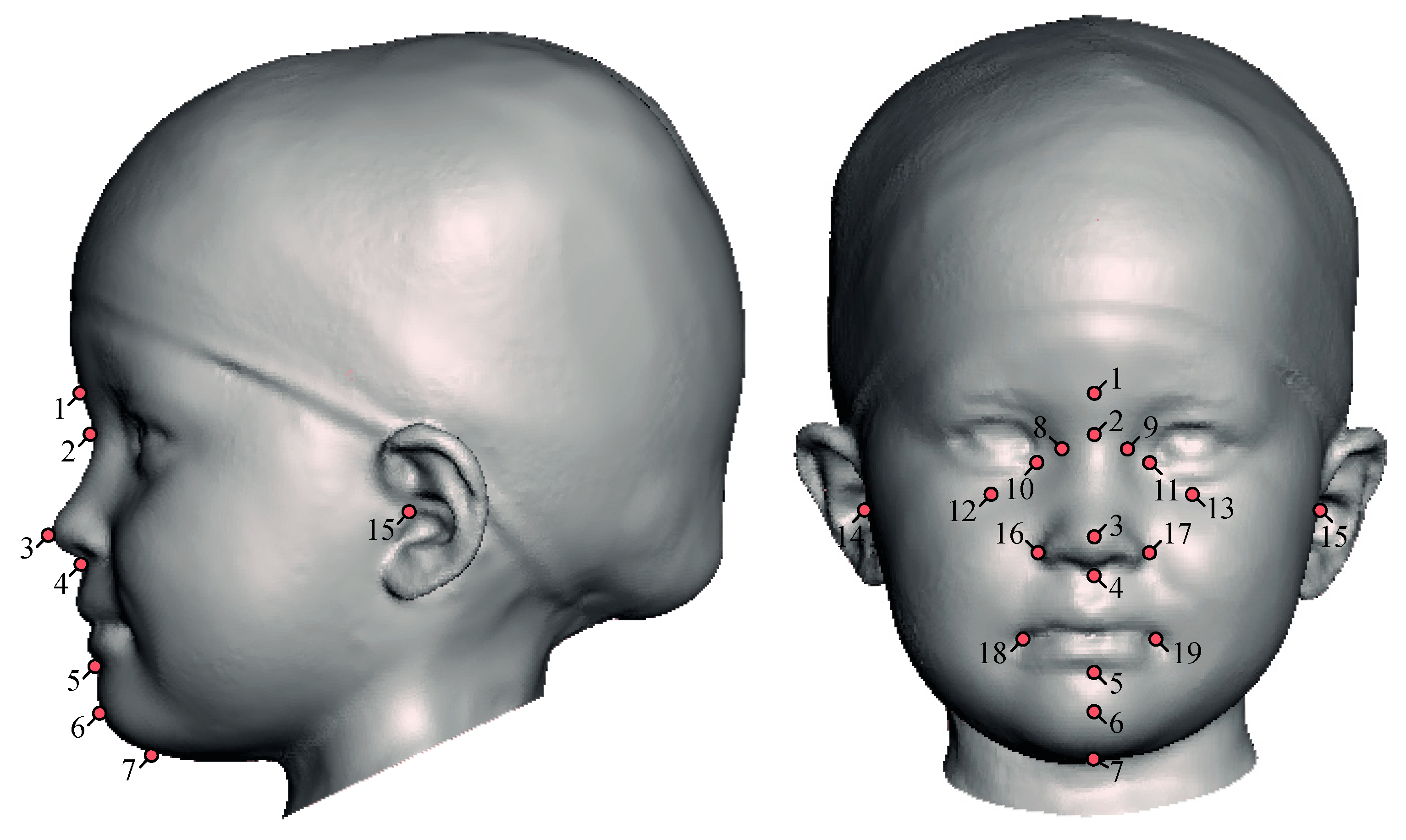 Applsci 11 06843 g001