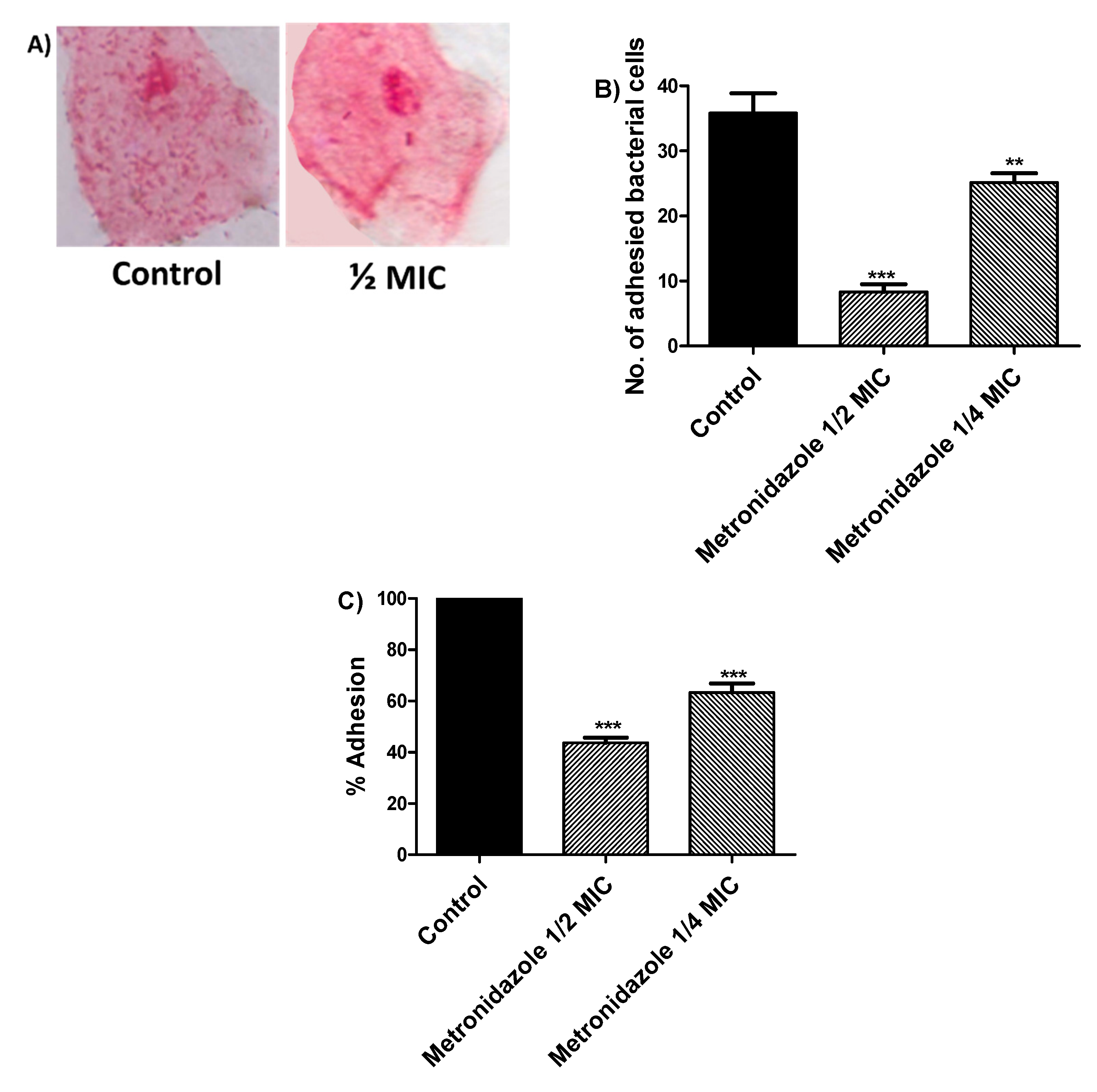 Applsci 11 06847 g004a