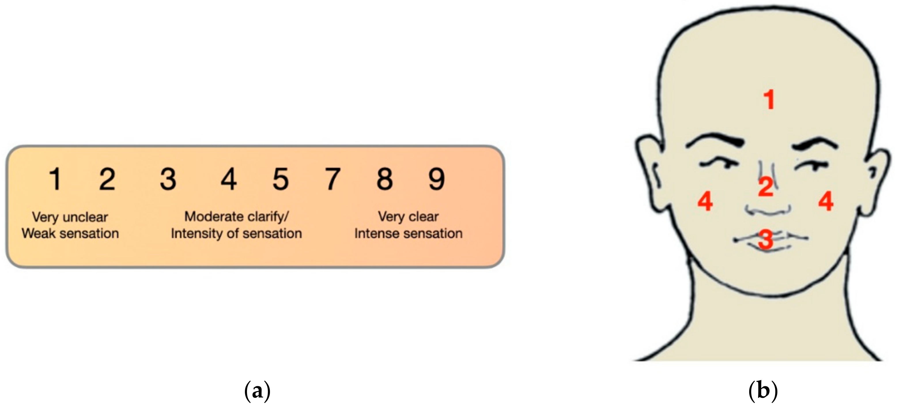 Applsci 11 06857 g001