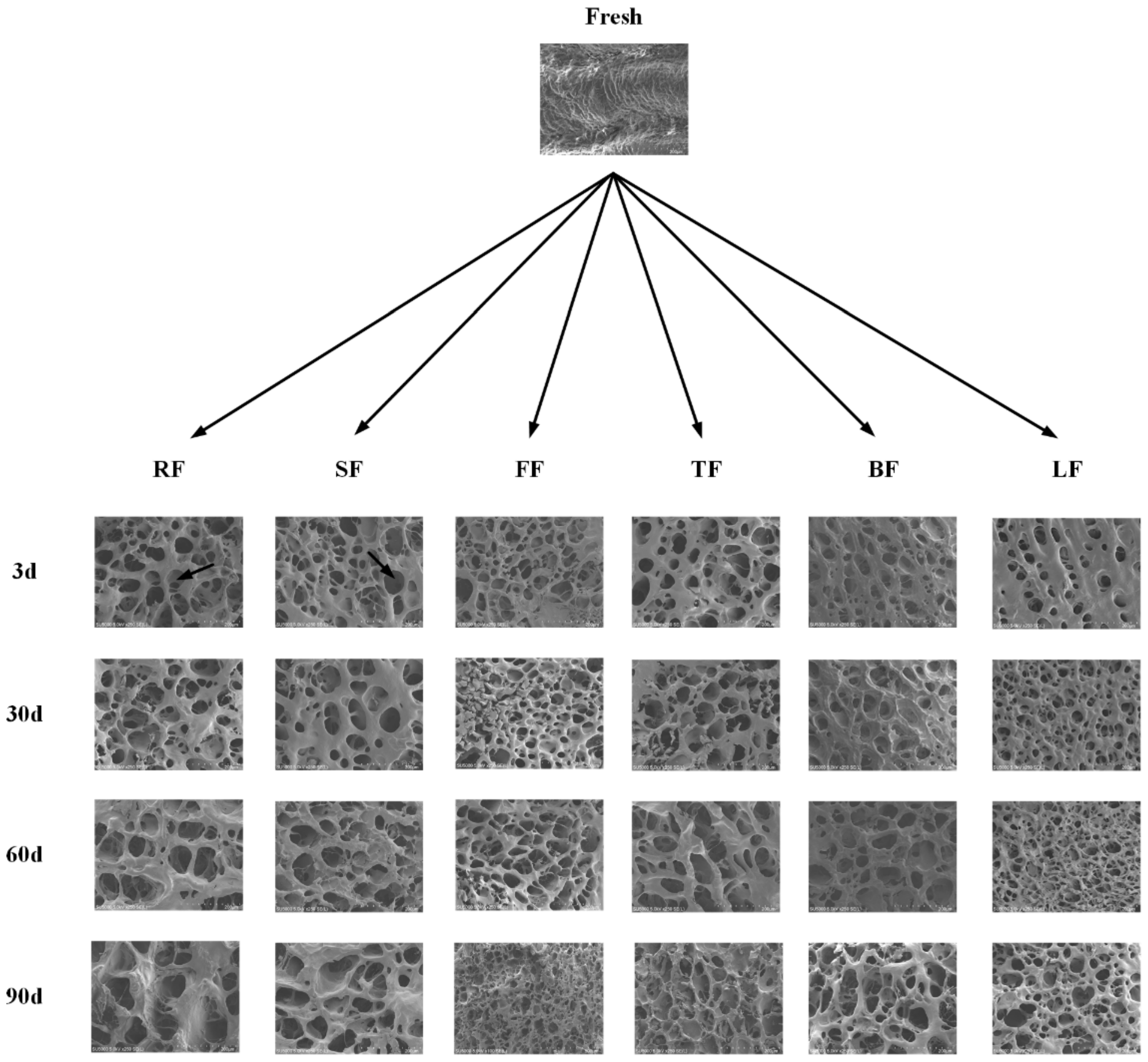 Applsci 11 06866 g009