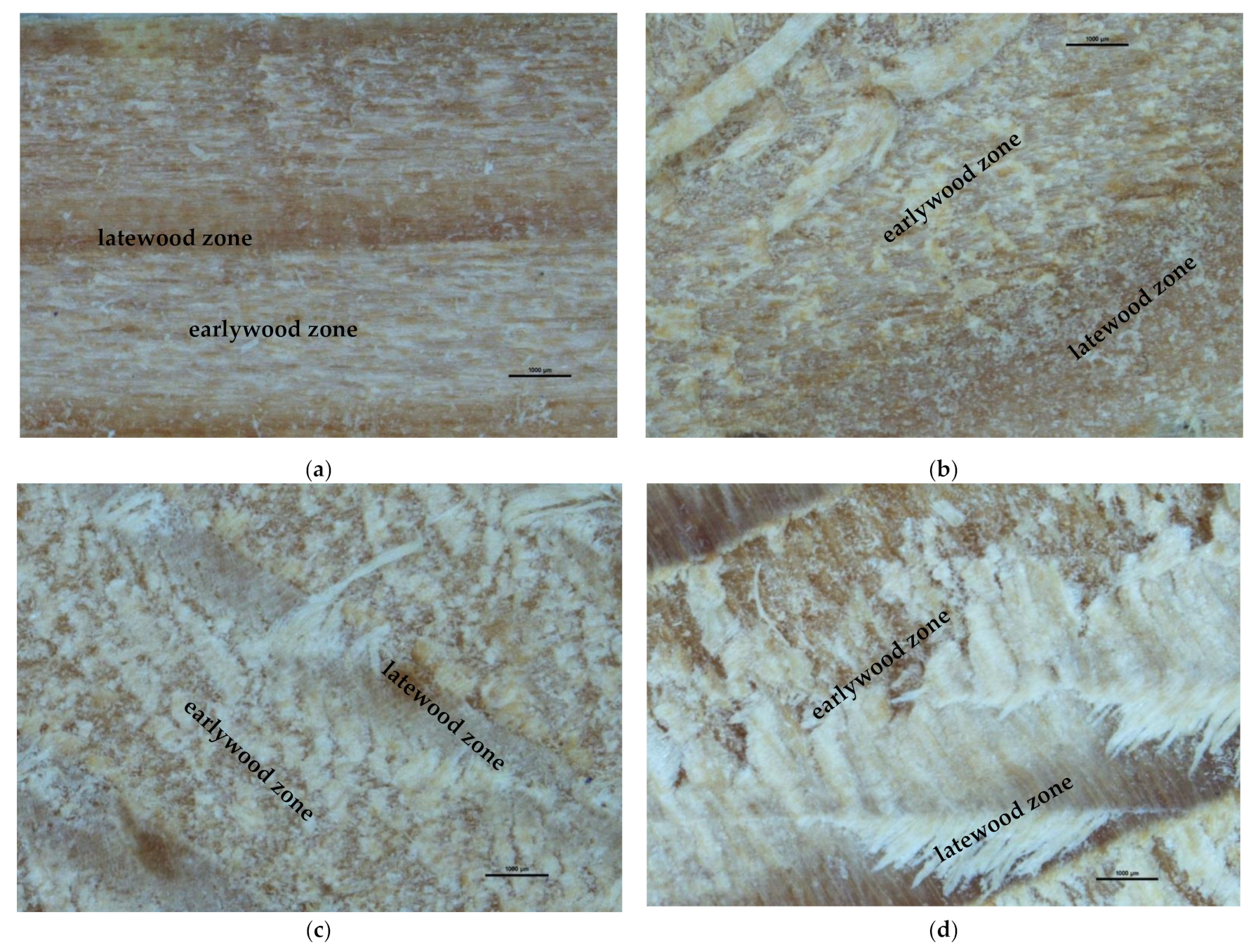 Applsci 11 06875 g018