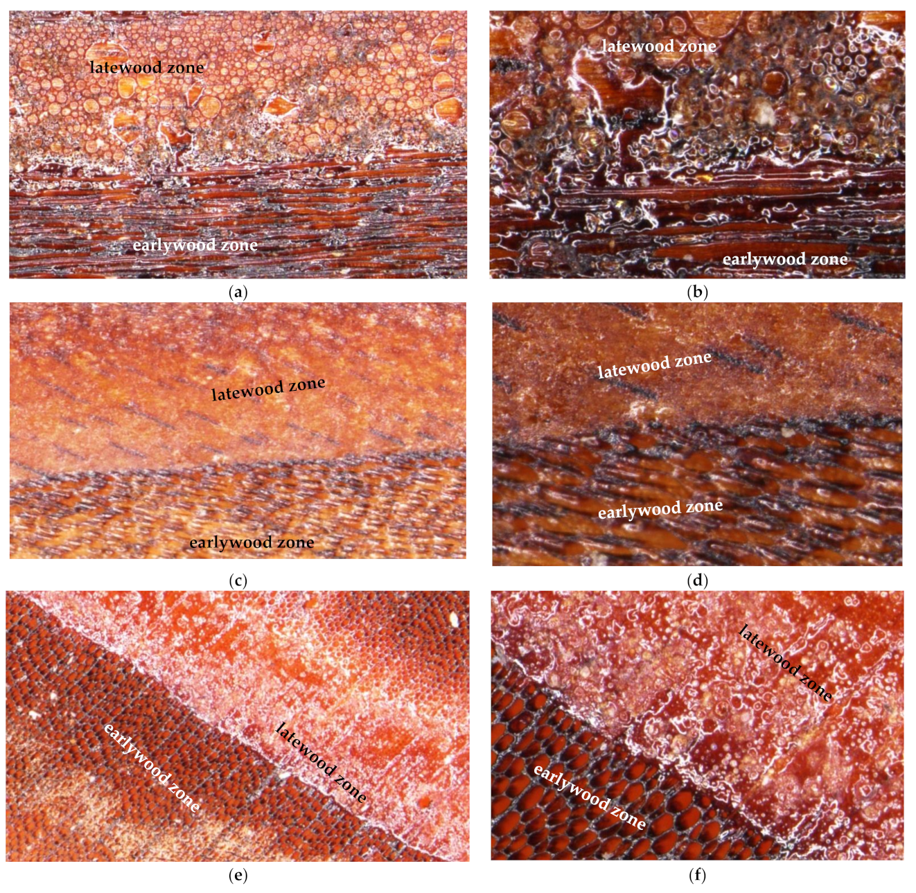 Applsci 11 06875 g019