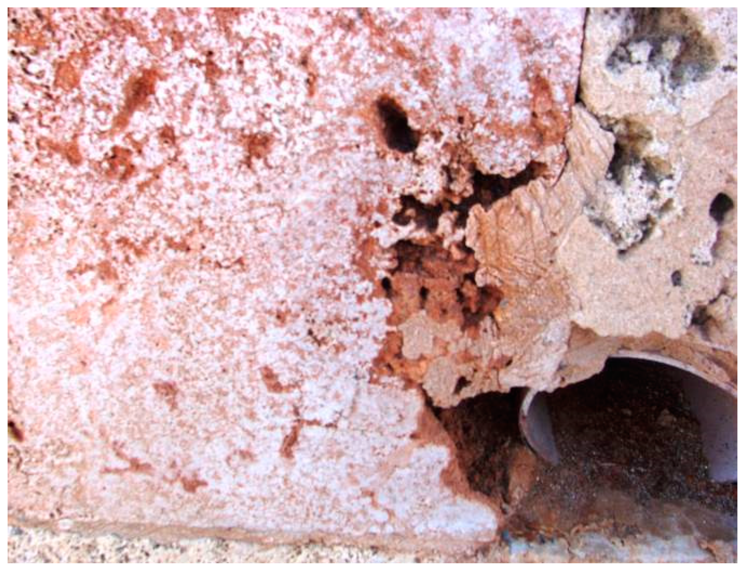 Applsci 11 06892 g009