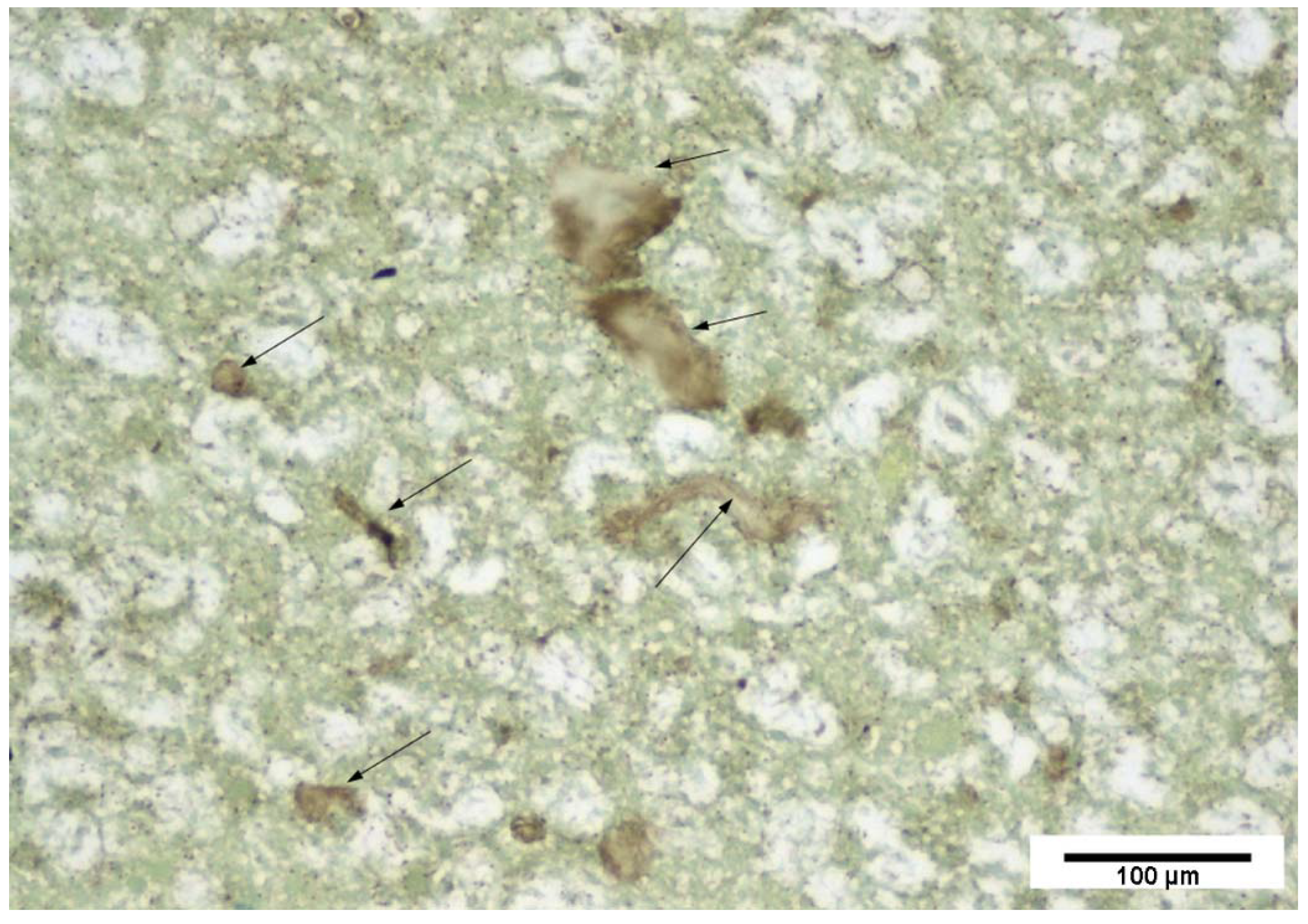 Applsci 11 06903 g003