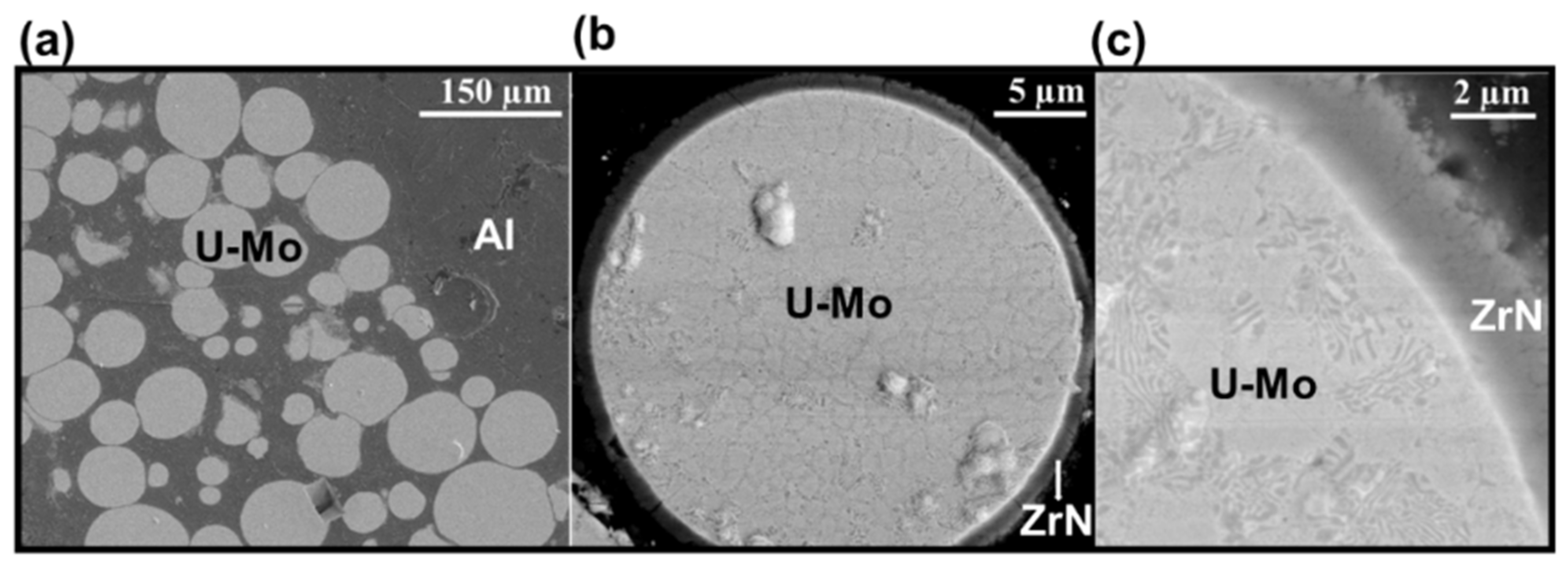 Applsci 11 06905 g001