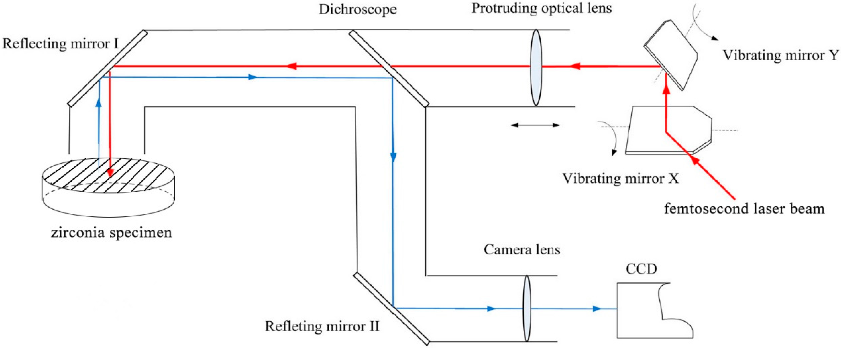 Applsci 11 06925 g001