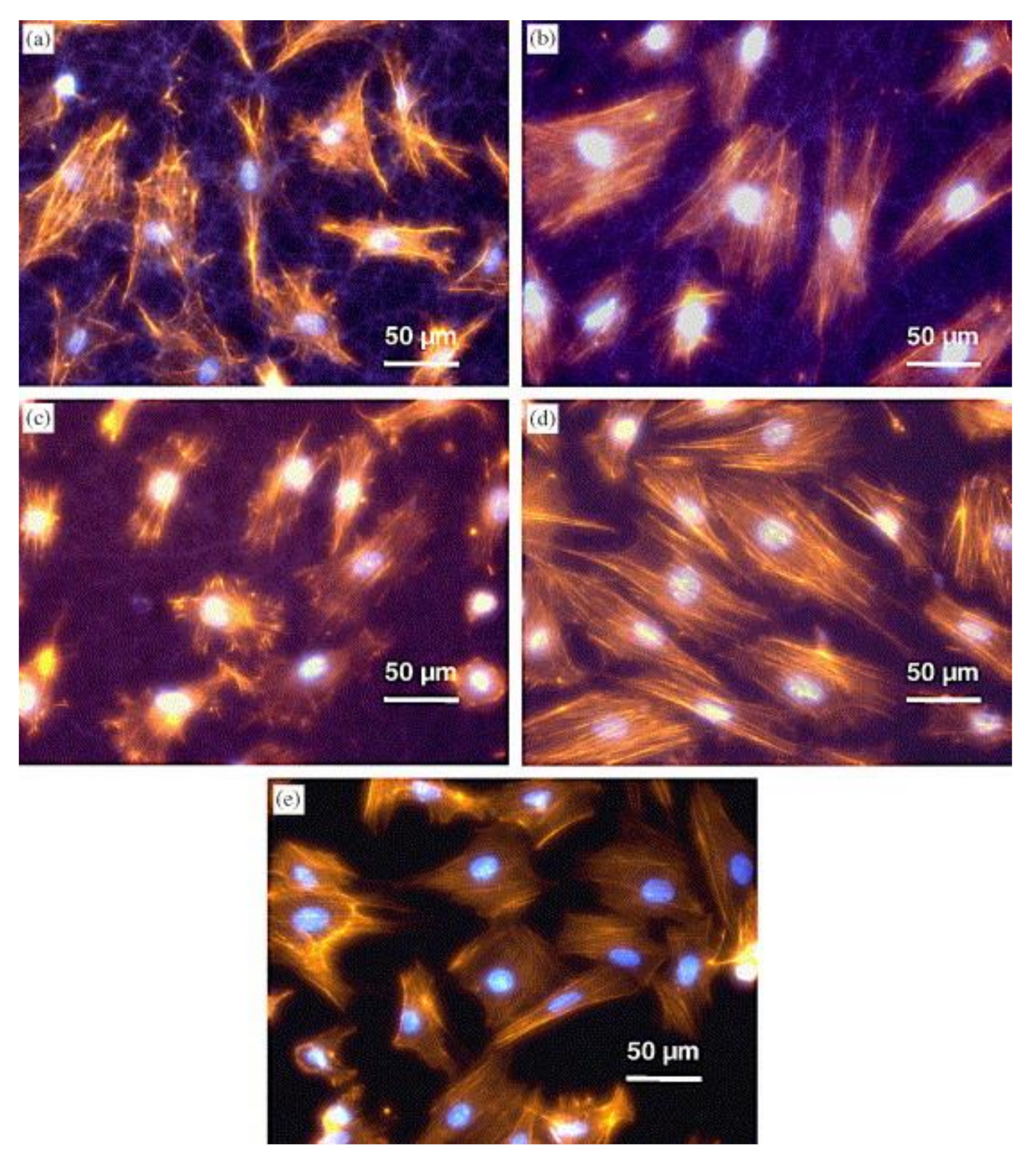 Applsci 11 06929 g001