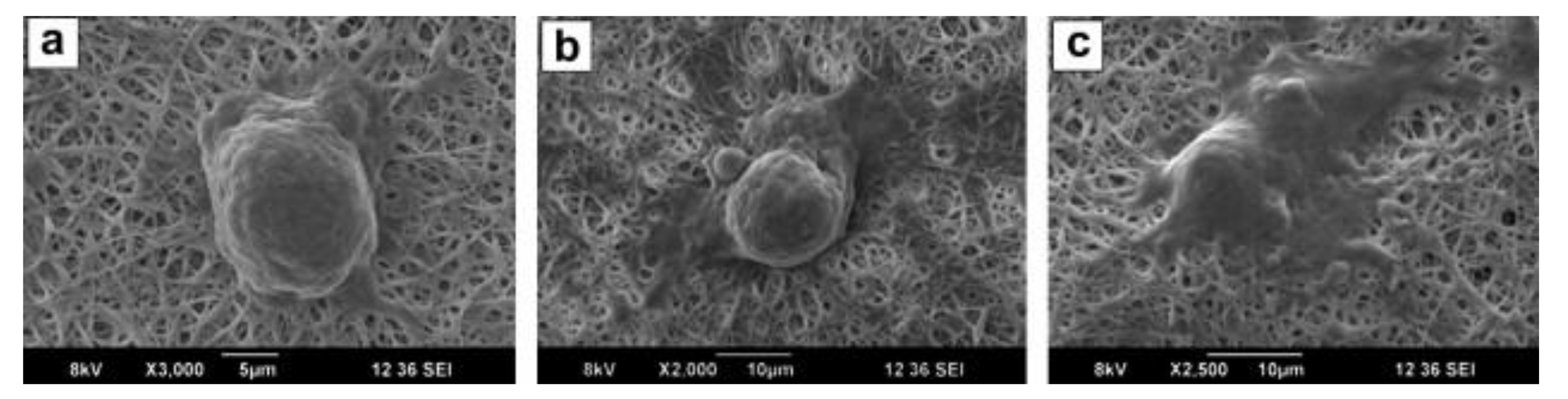 Applsci 11 06929 g002