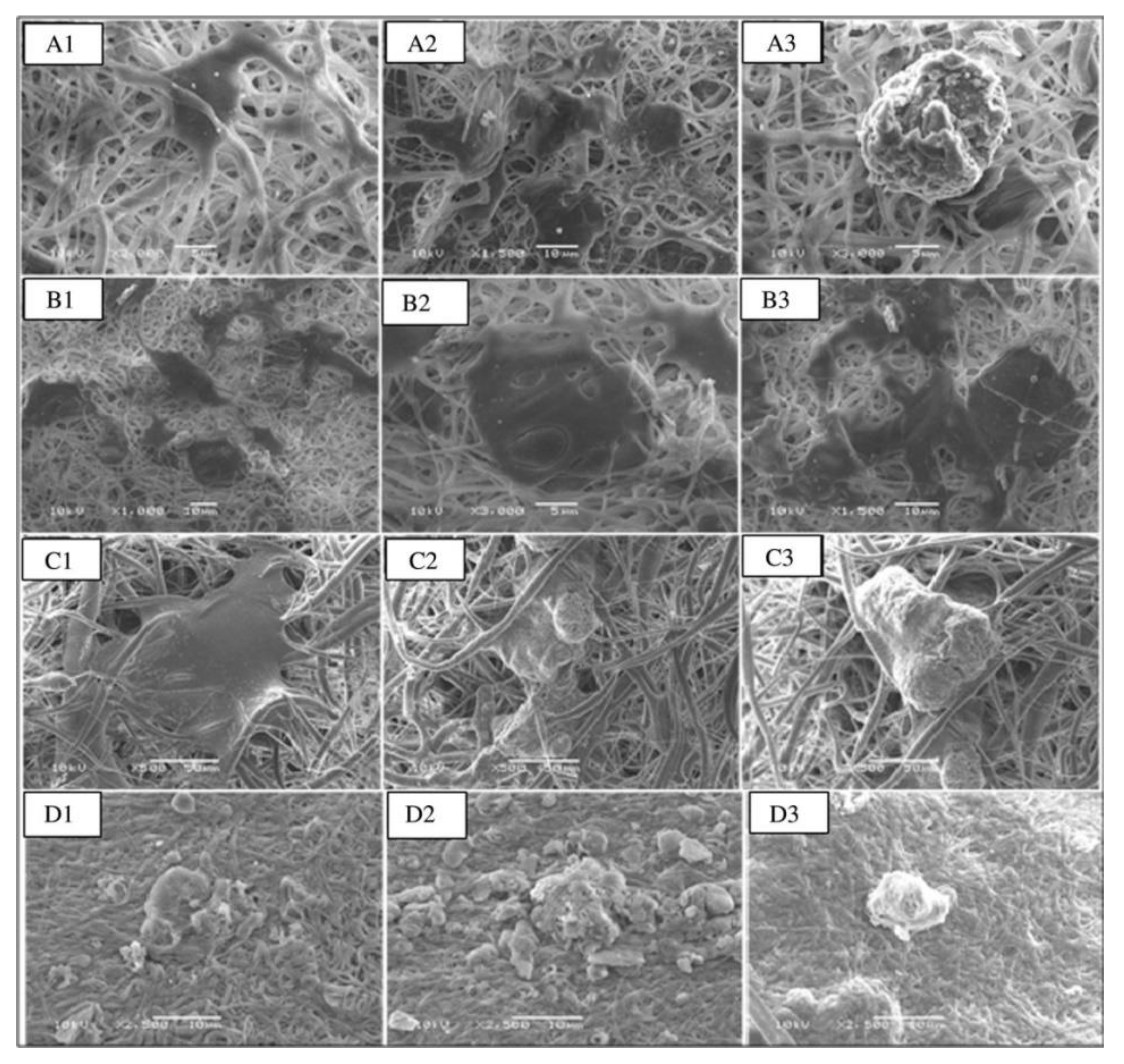 Applsci 11 06929 g004