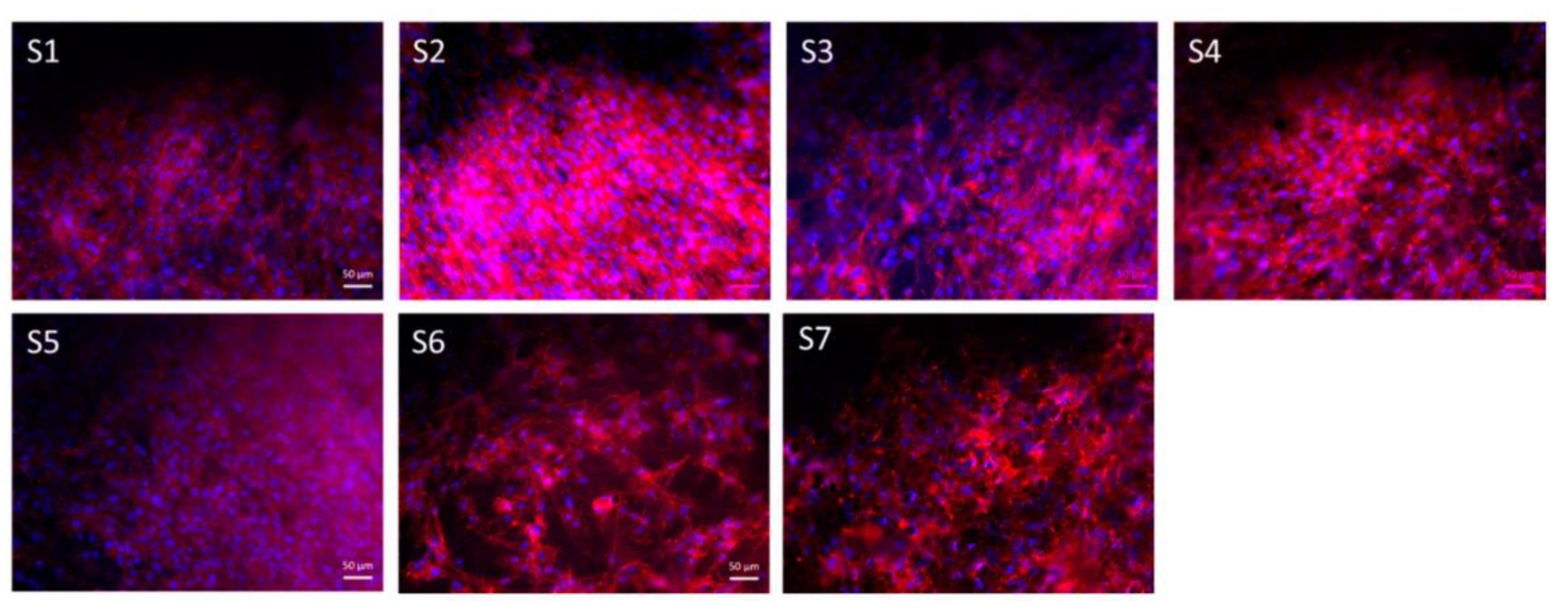 Applsci 11 06929 g005