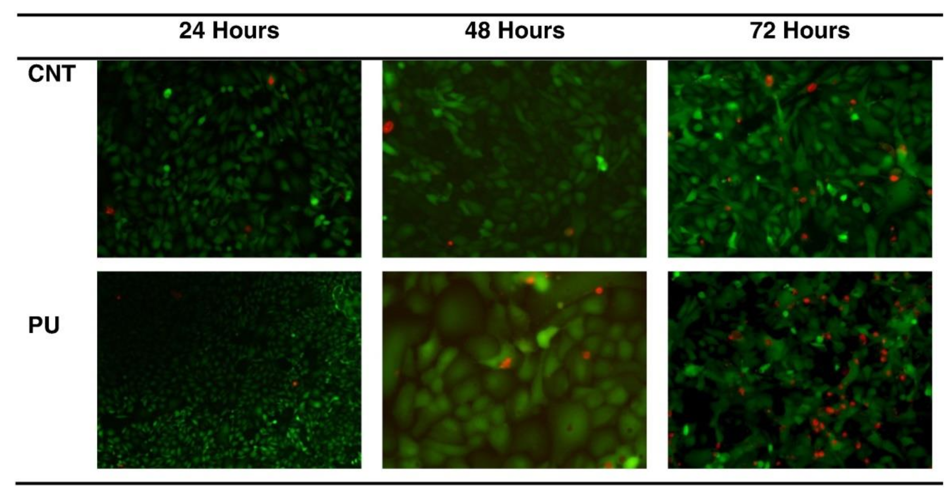 Applsci 11 06929 g006