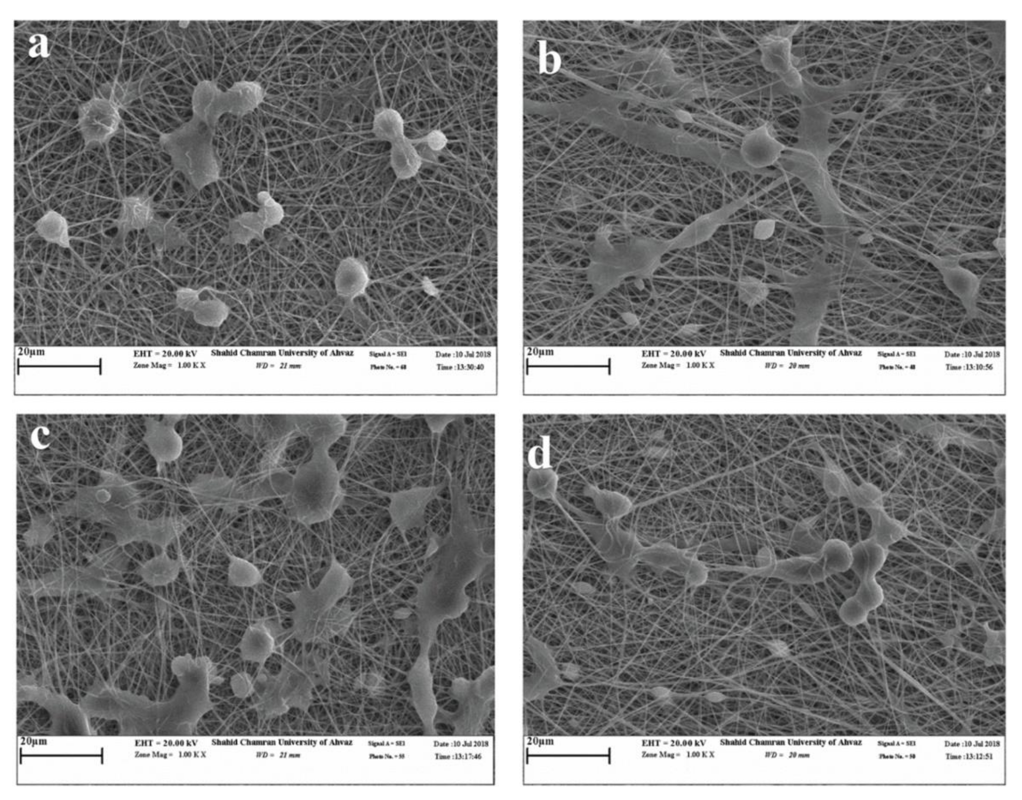 Applsci 11 06929 g007