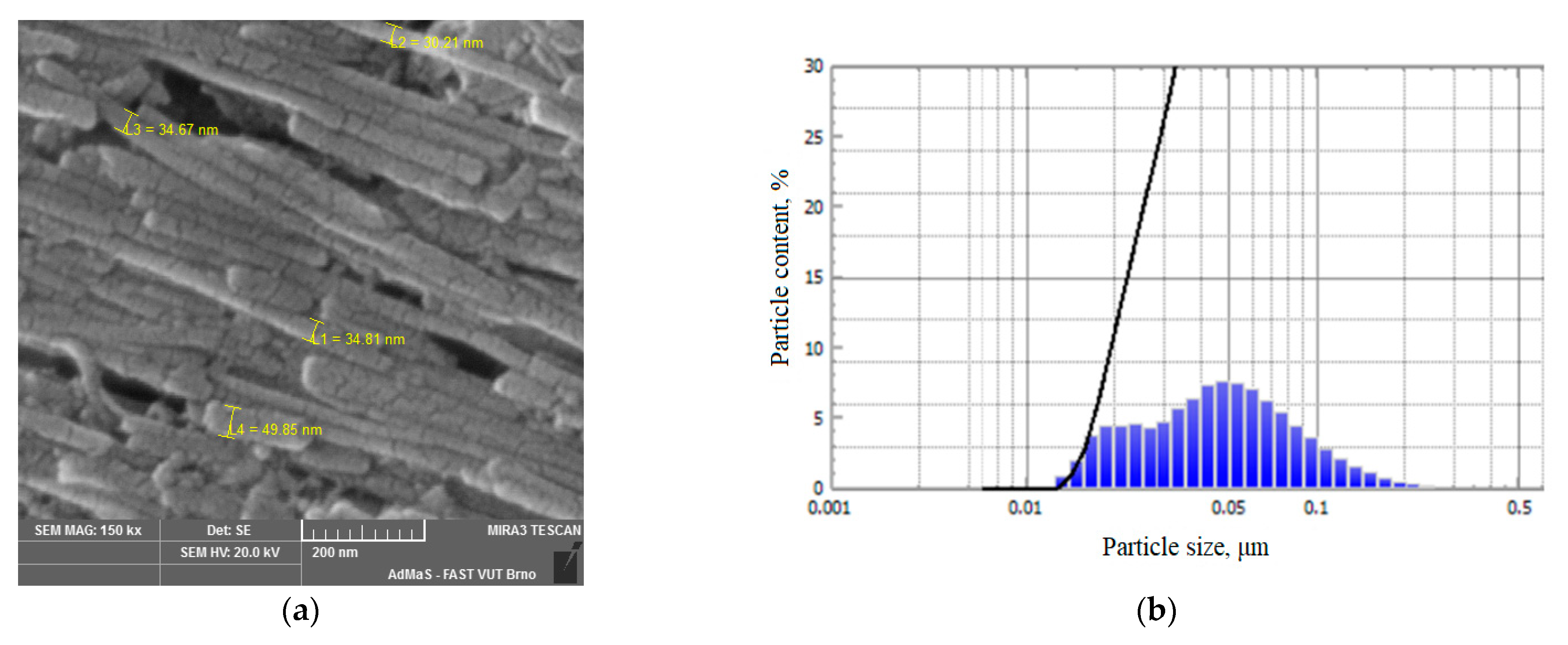 Applsci 11 06943 g001