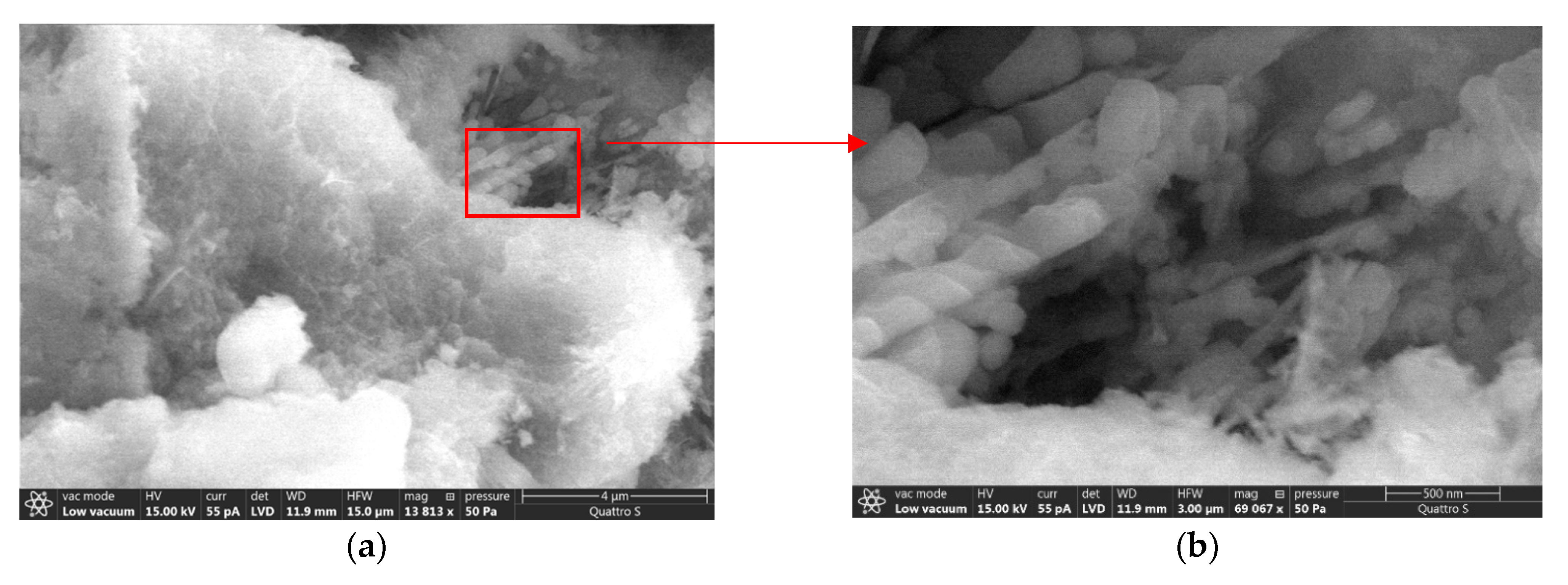 Applsci 11 06943 g007