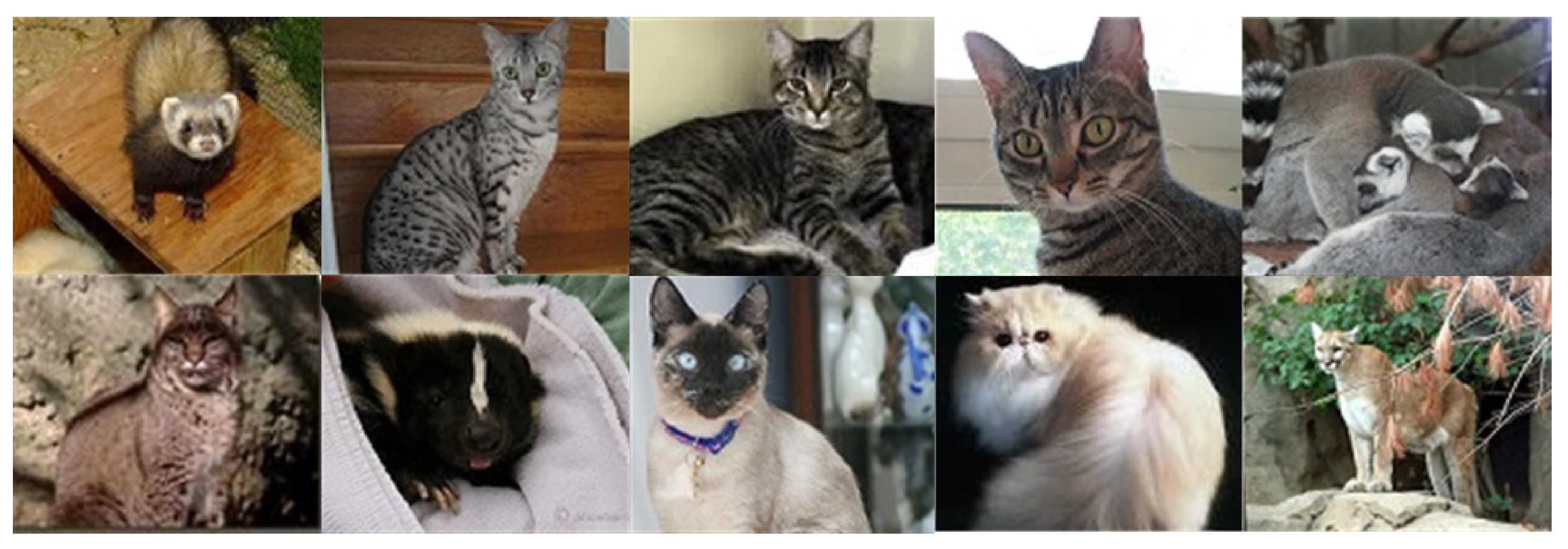 Applsci 11 06963 g001