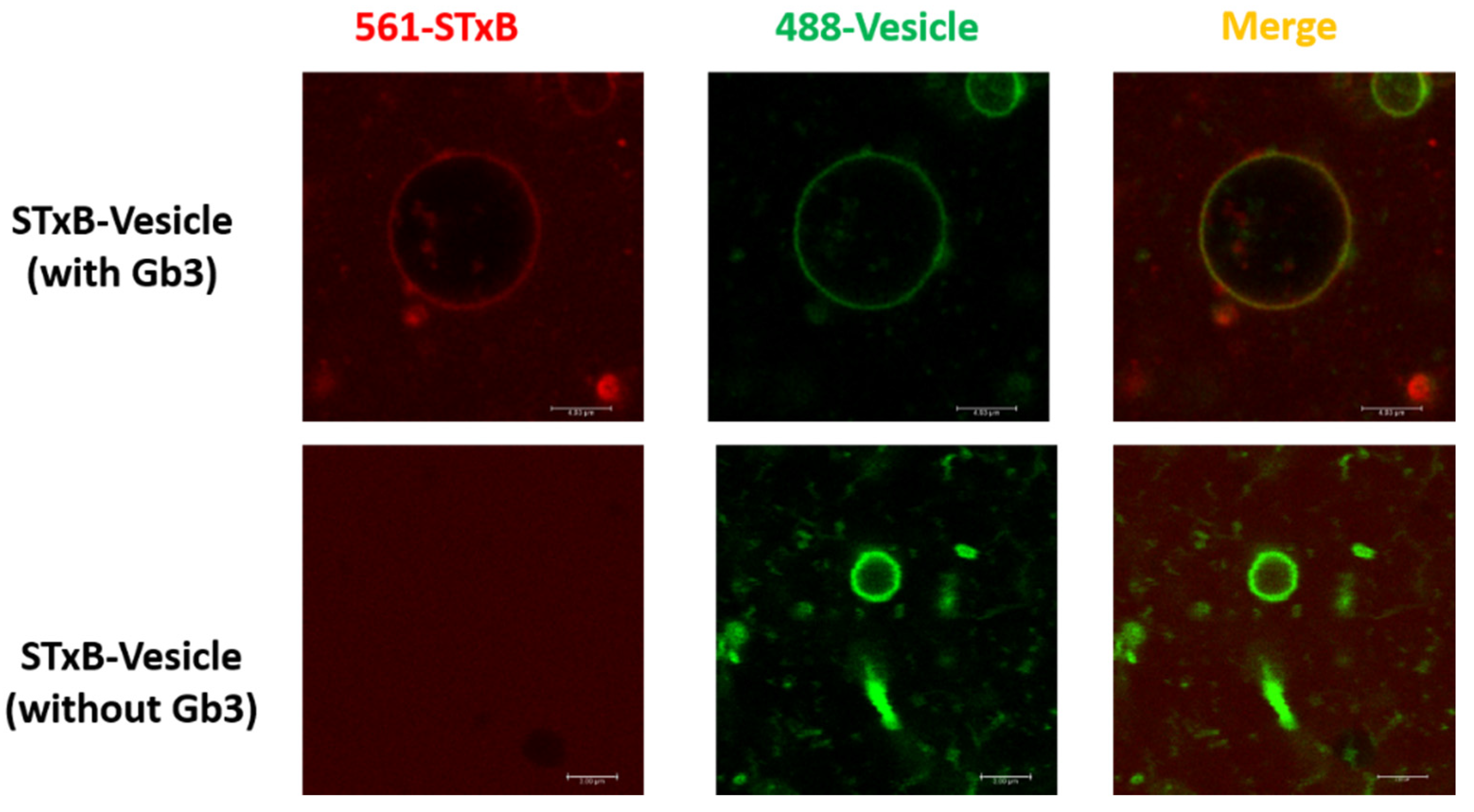 Applsci 11 06965 g001
