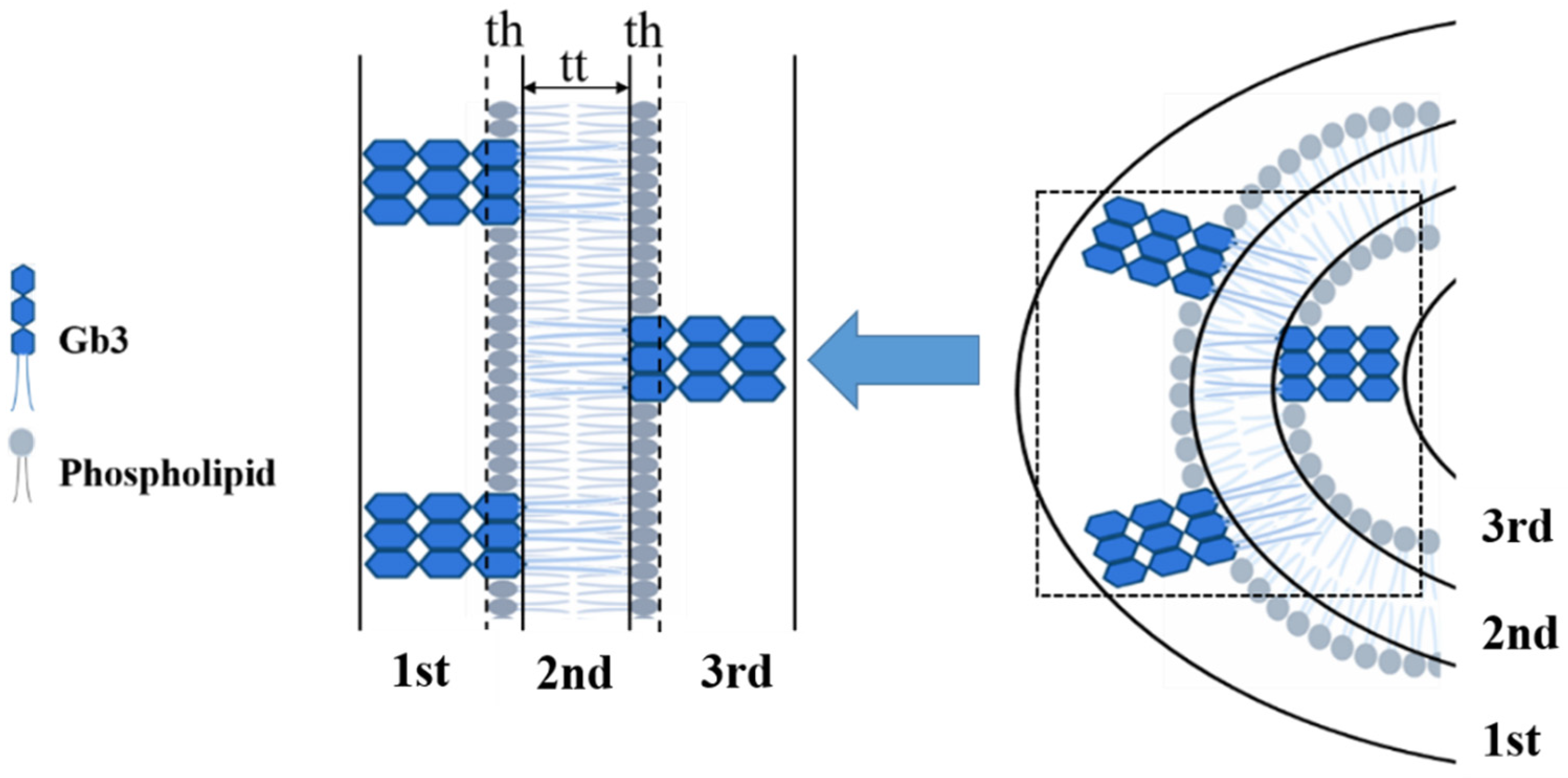 Applsci 11 06965 g004