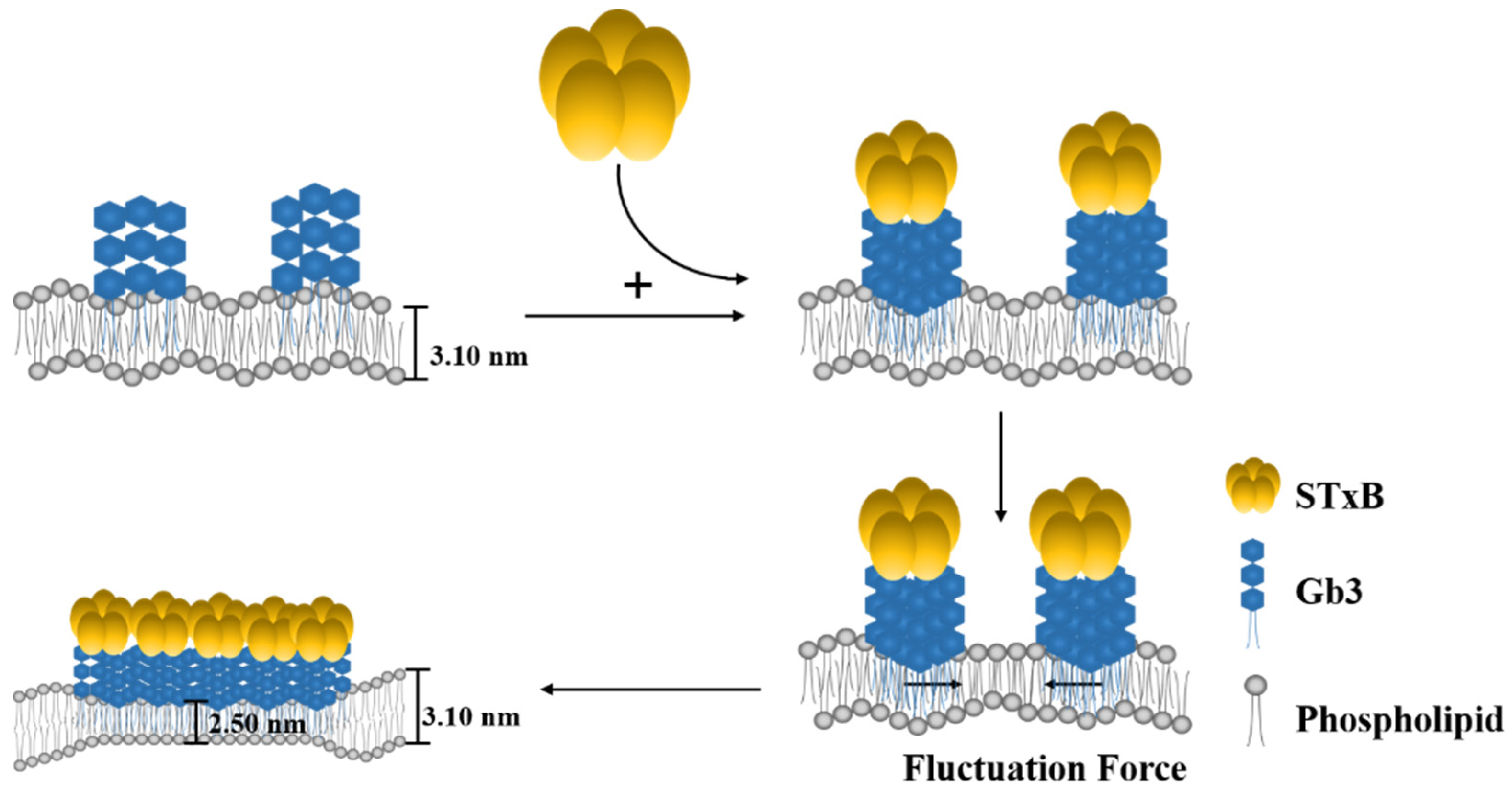 Applsci 11 06965 g006