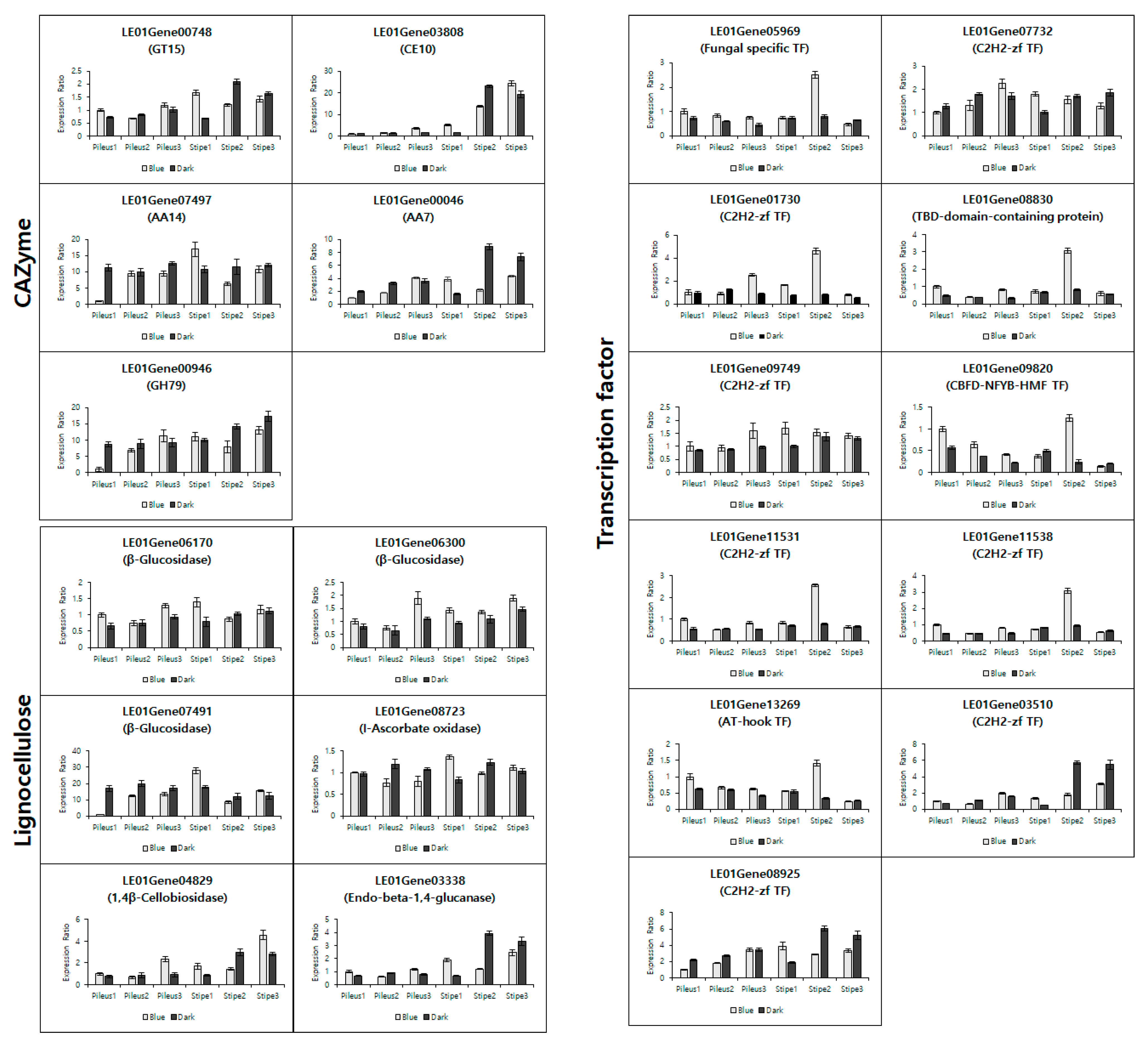 Applsci 11 06997 g005