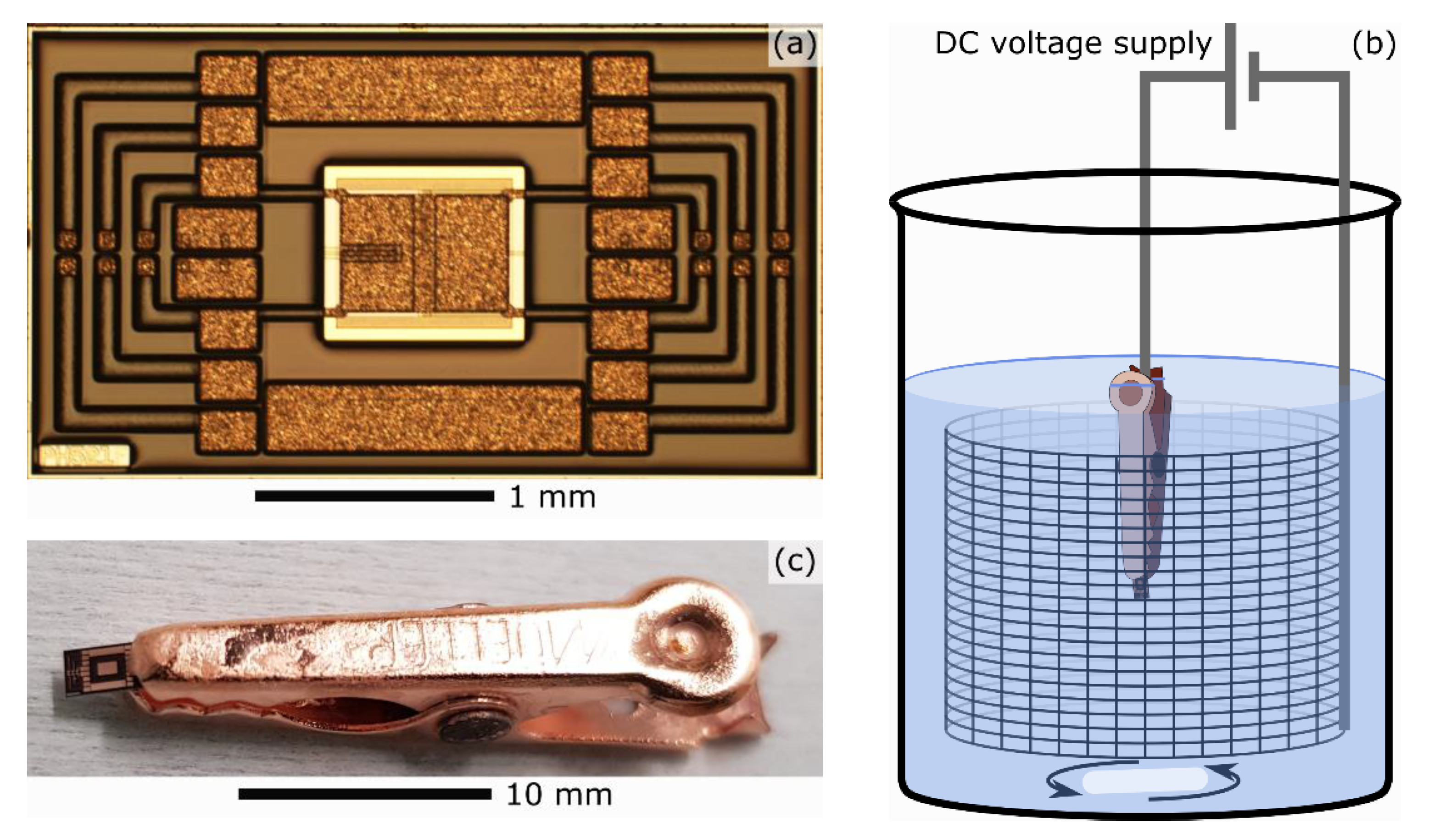 Applsci 11 07009 g001