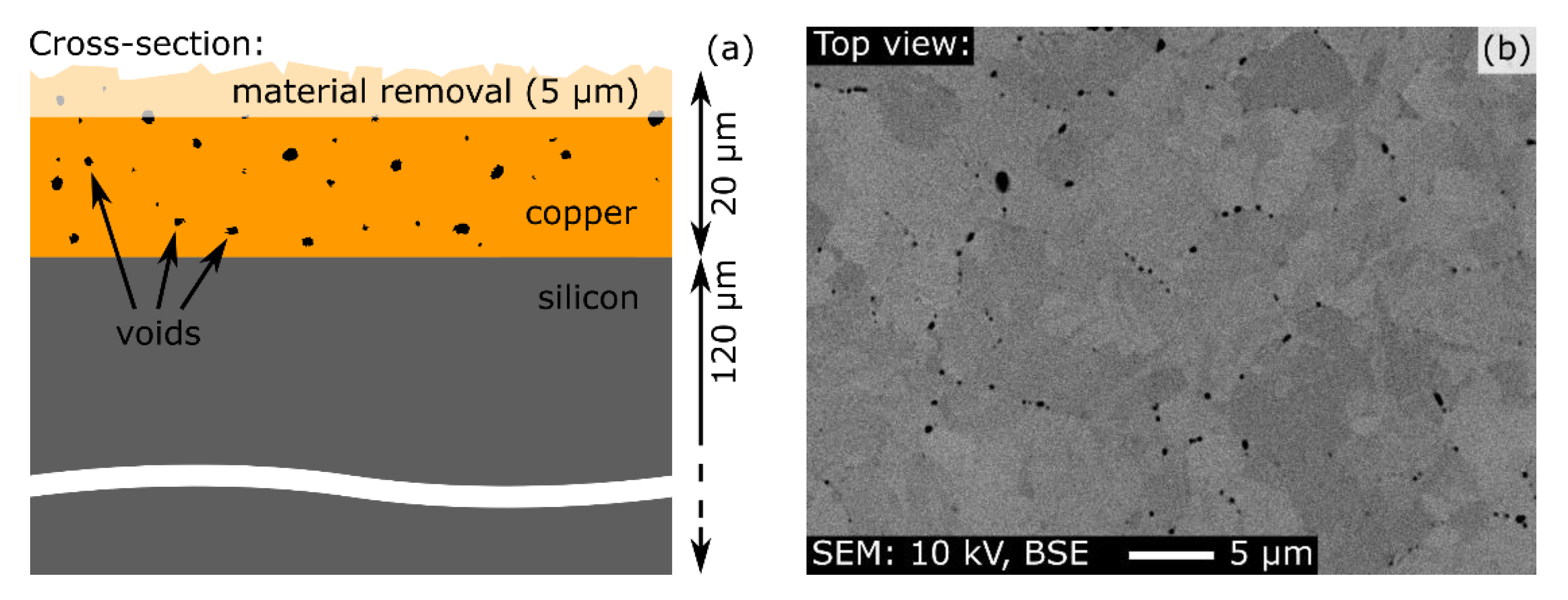 Applsci 11 07009 g004