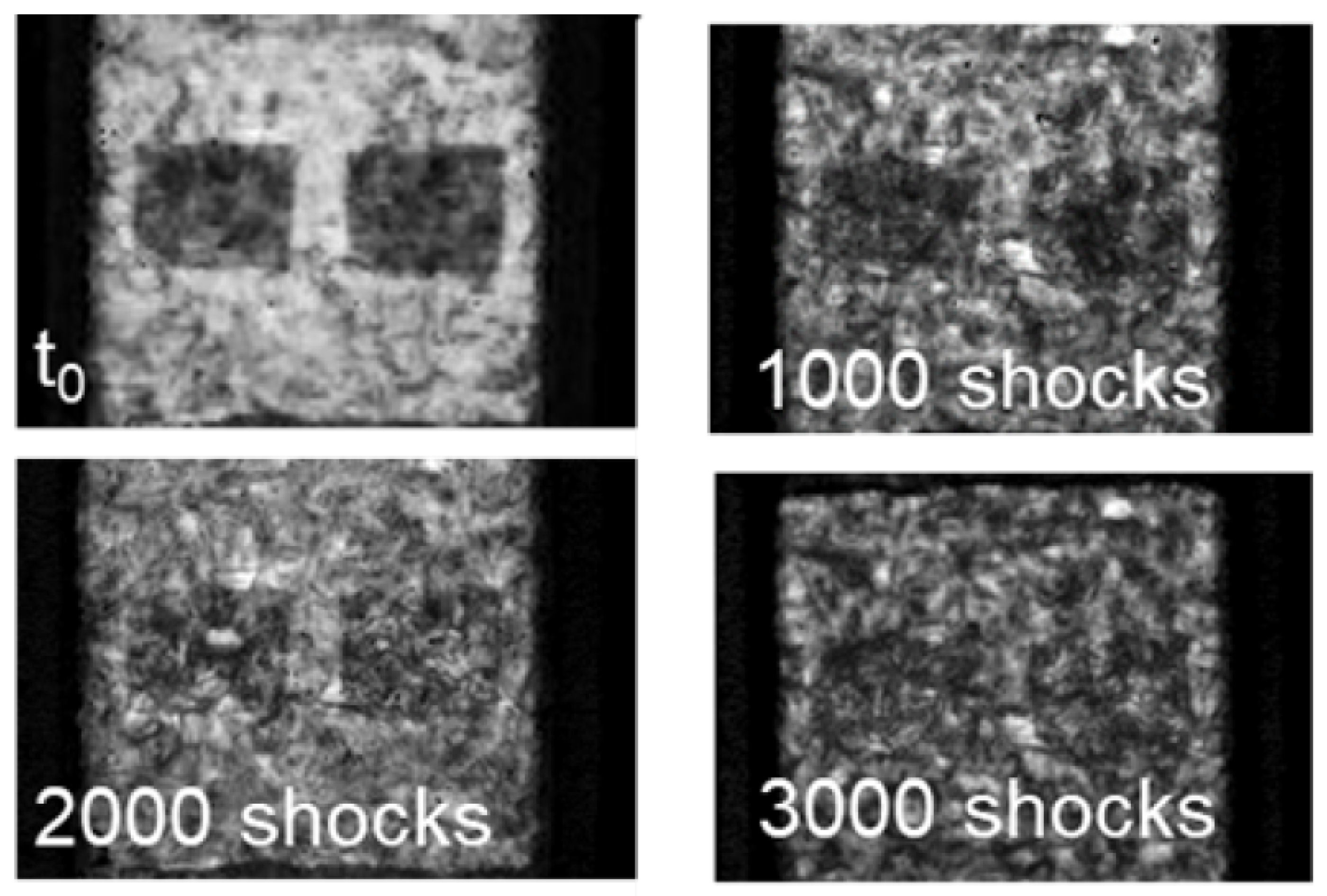 Applsci 11 07012 g008