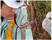 Applsci 11 07032 i004