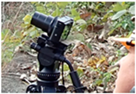 Applsci 11 07032 i008