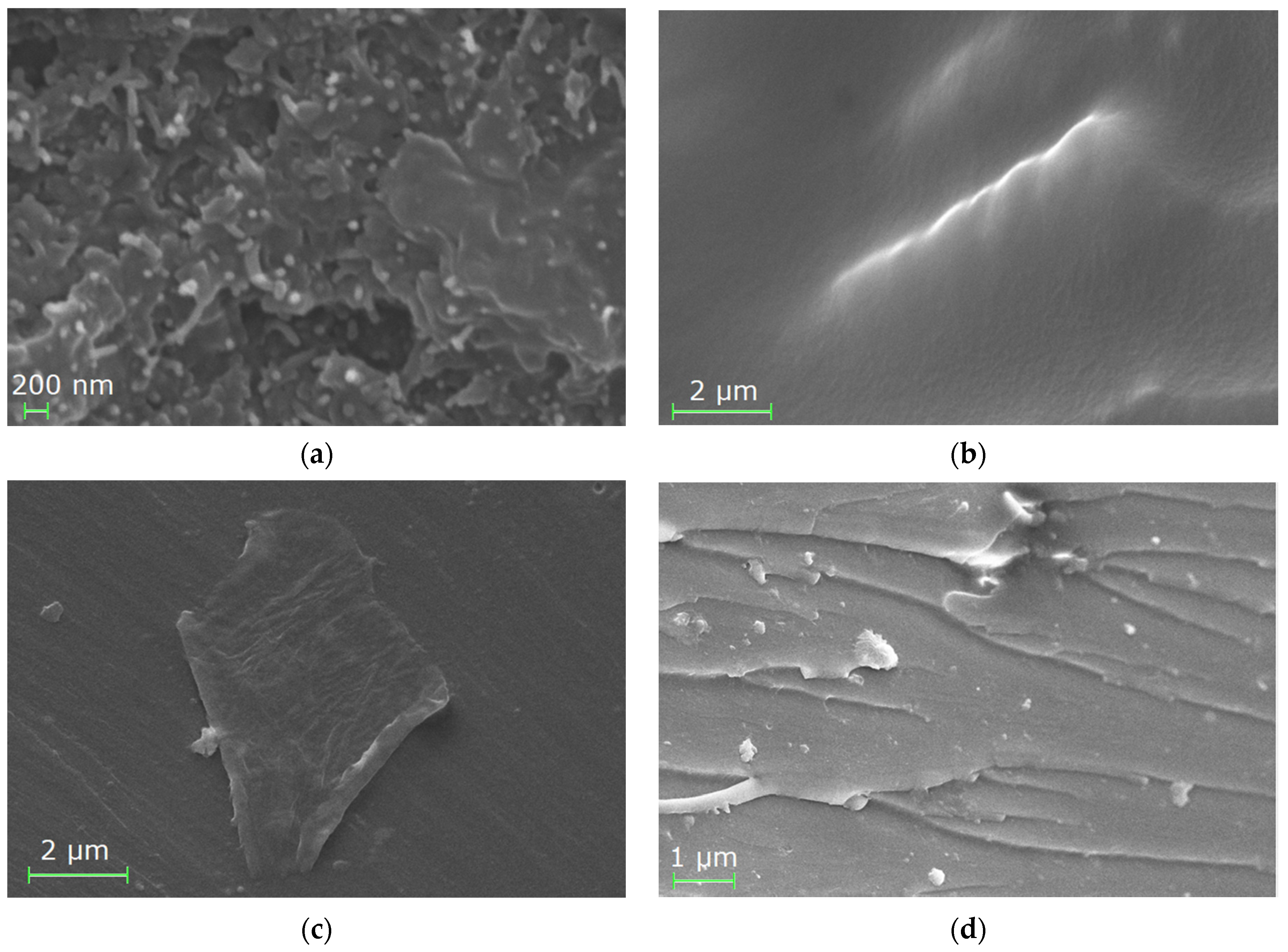 Applsci 11 07059 g002