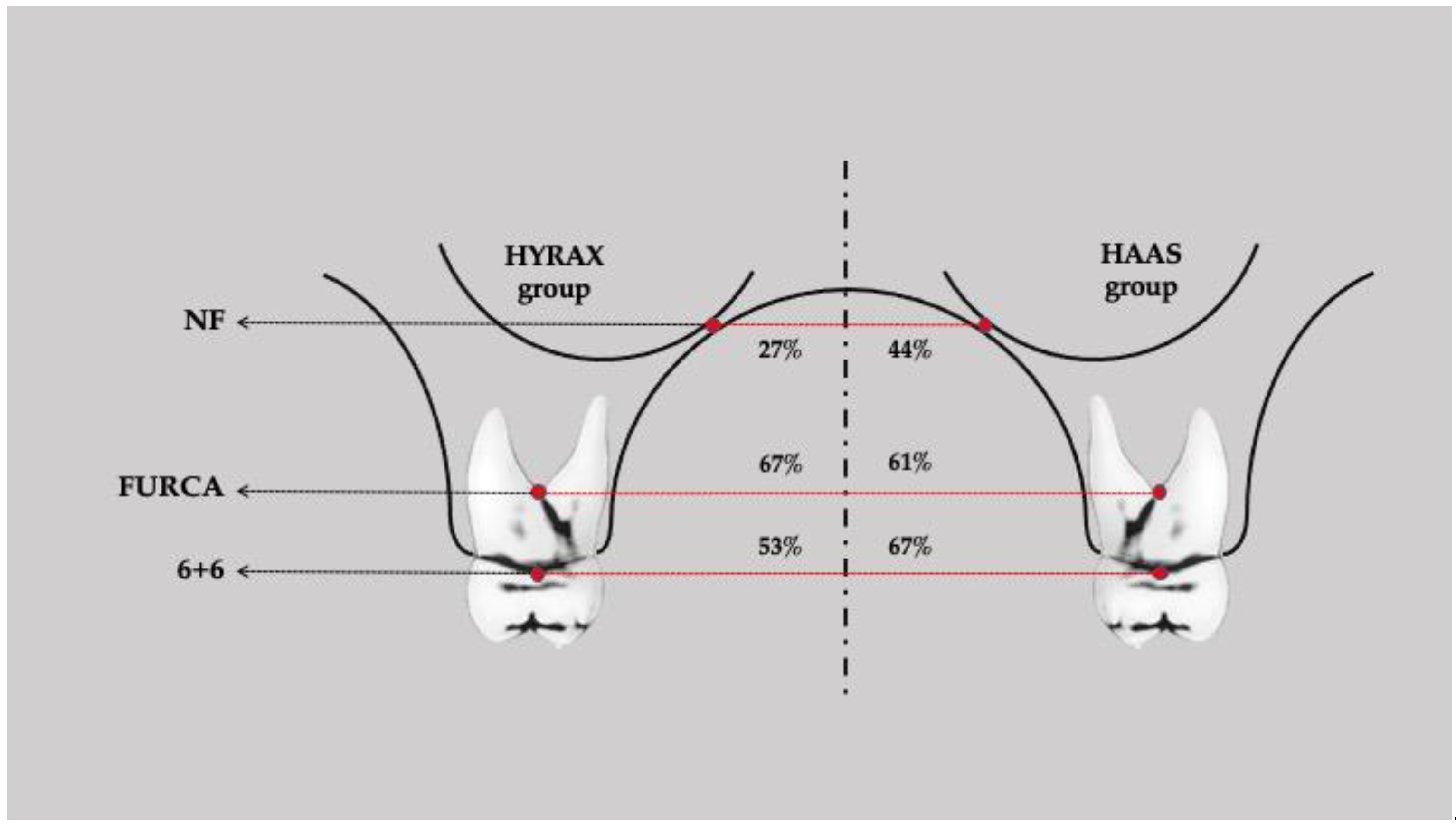 Applsci 11 07110 g002