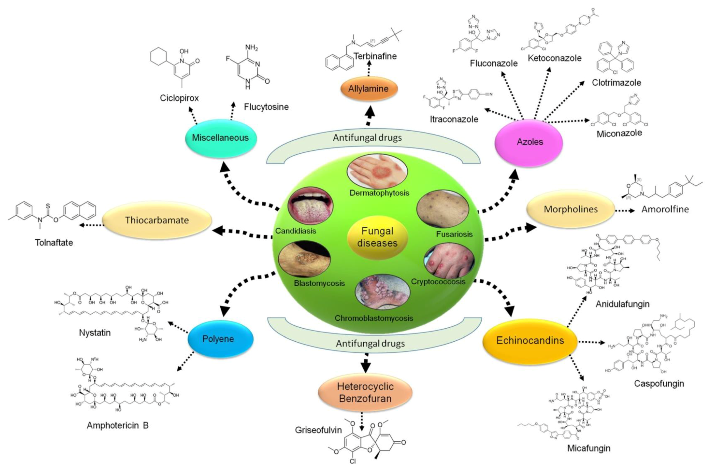 Applsci 11 07119 g001