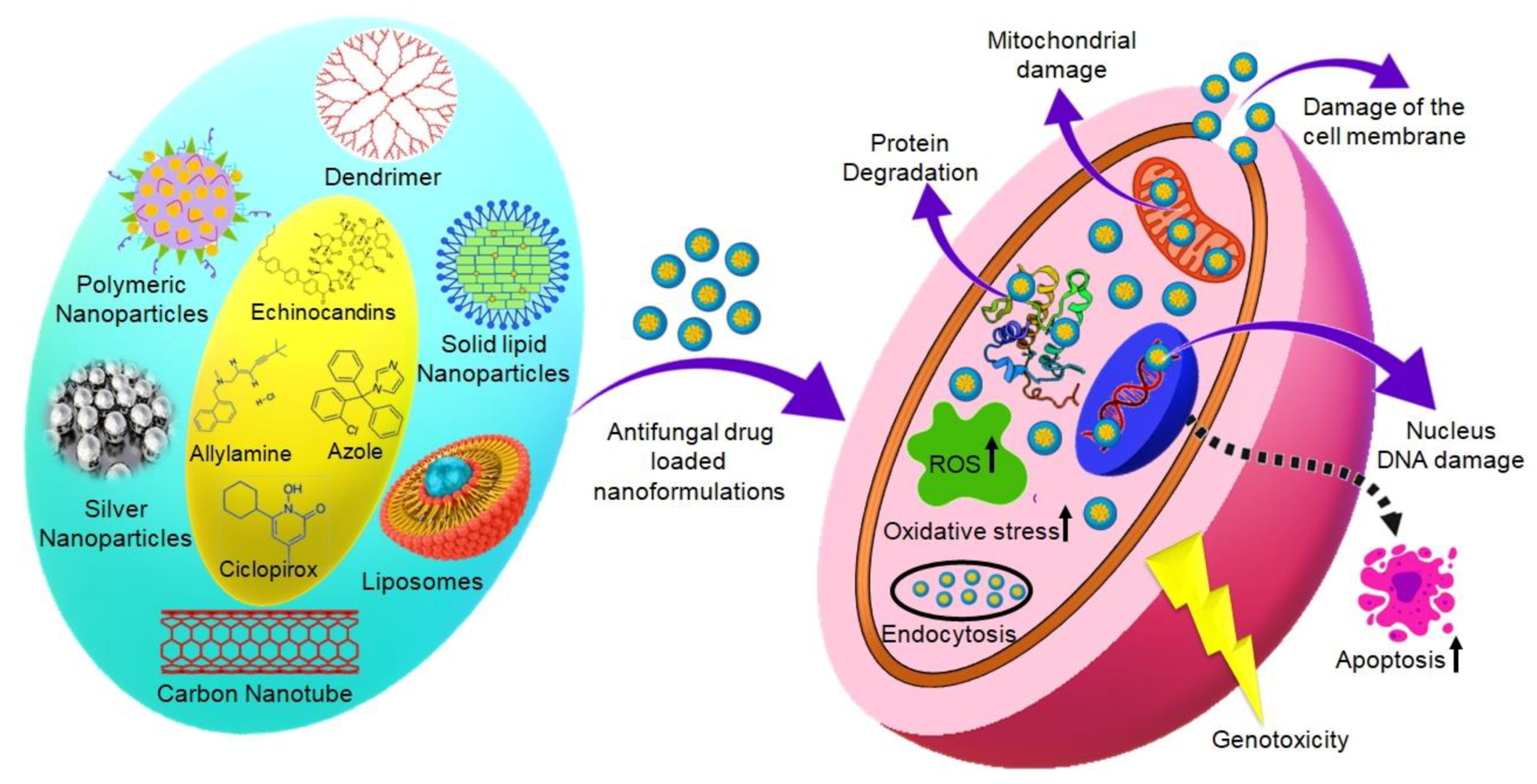 Applsci 11 07119 g003
