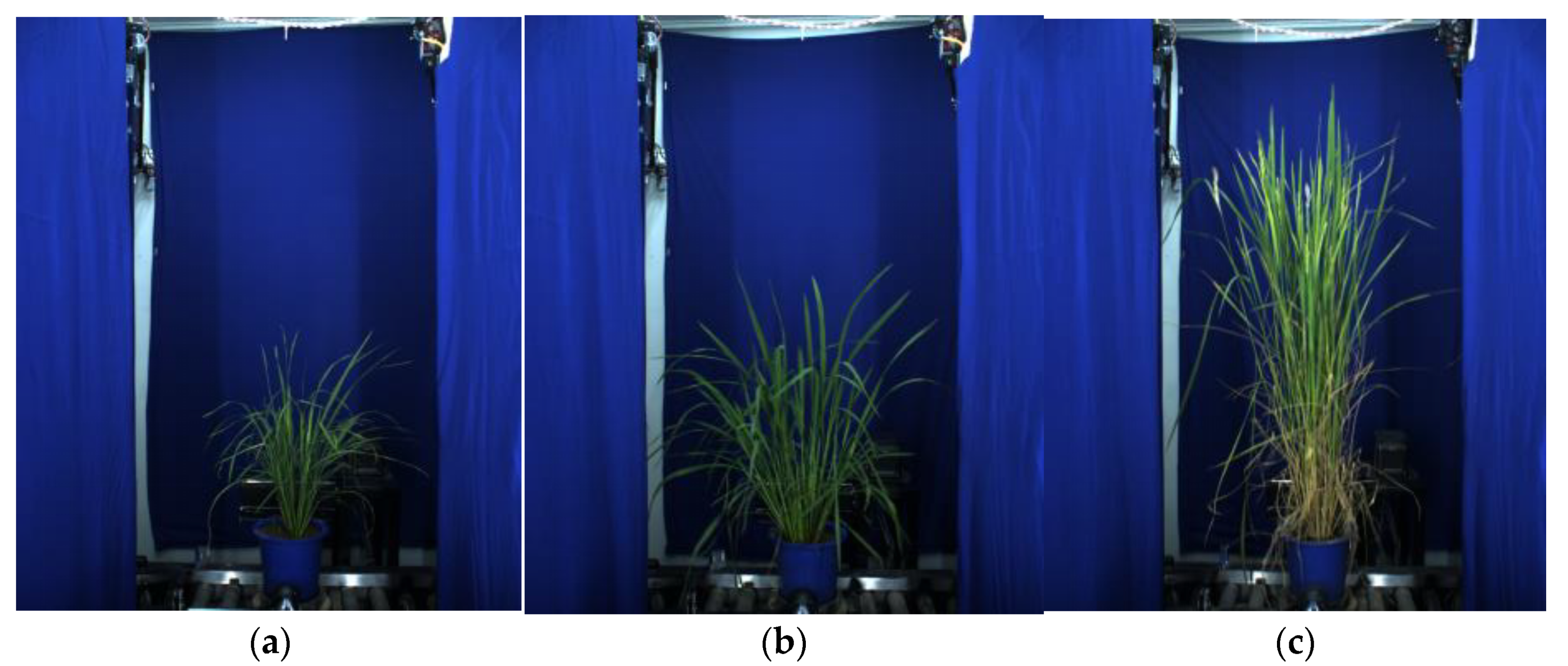 Applsci 11 07151 g001