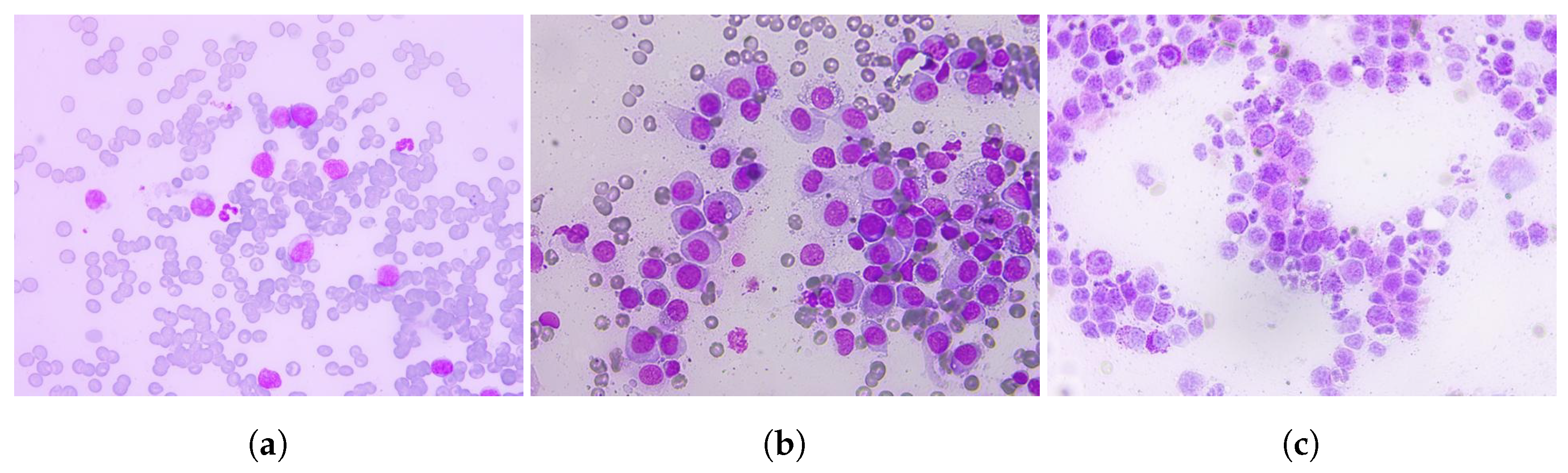 Applsci 11 07181 g003