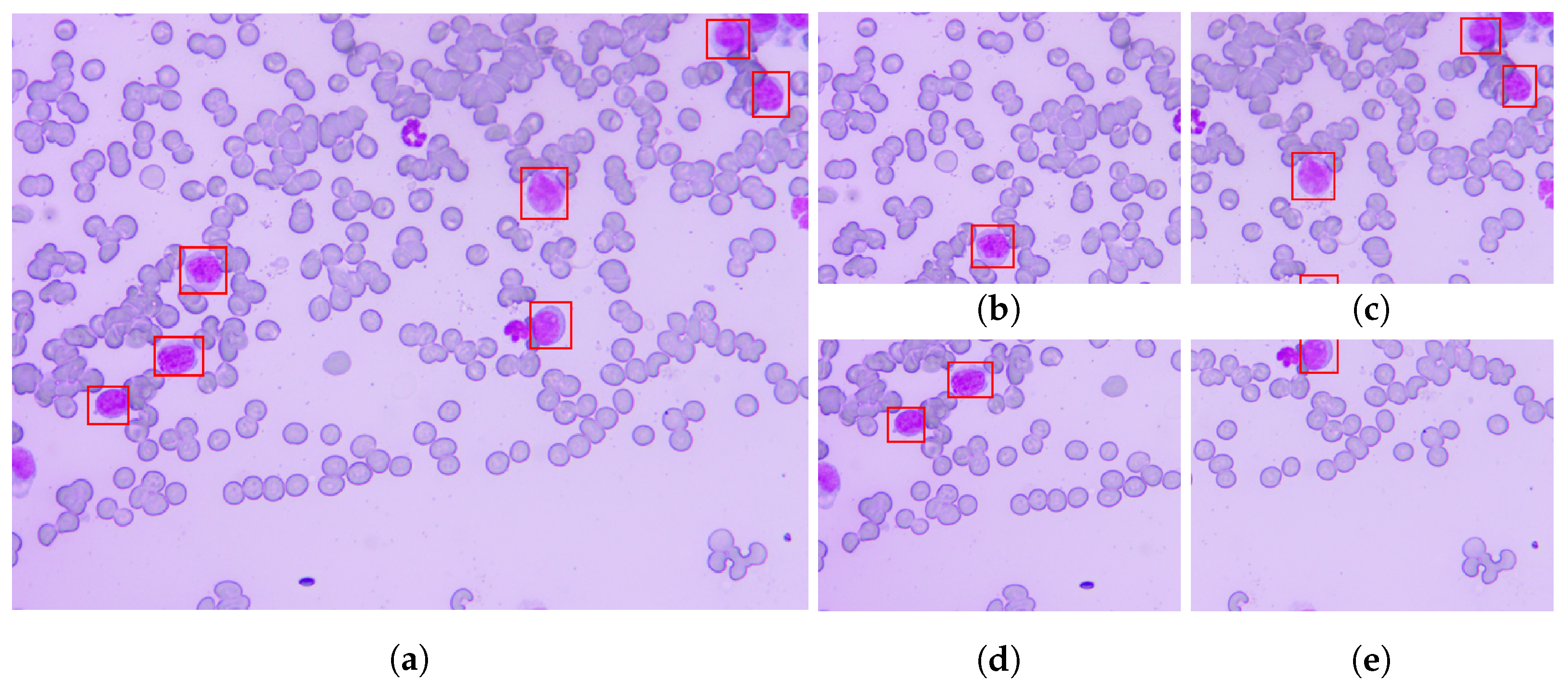 Applsci 11 07181 g006