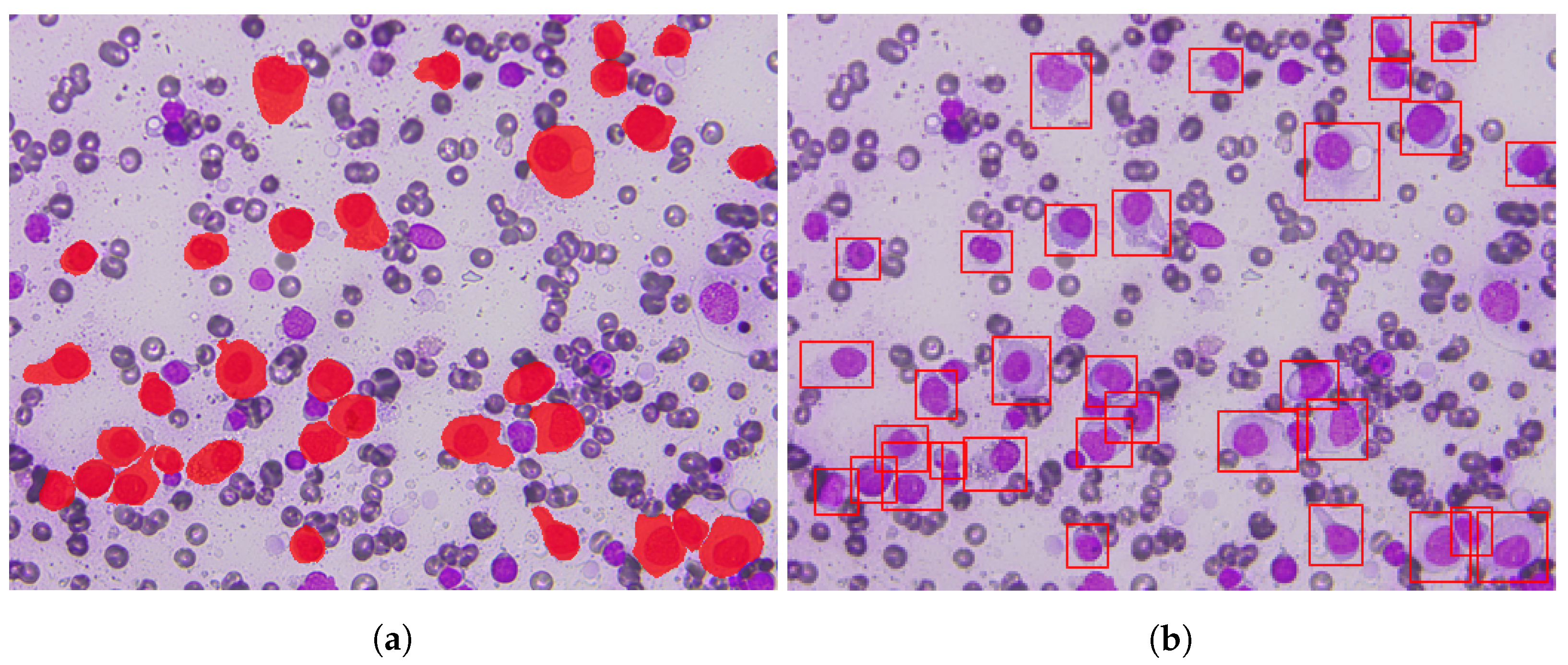 Applsci 11 07181 g007