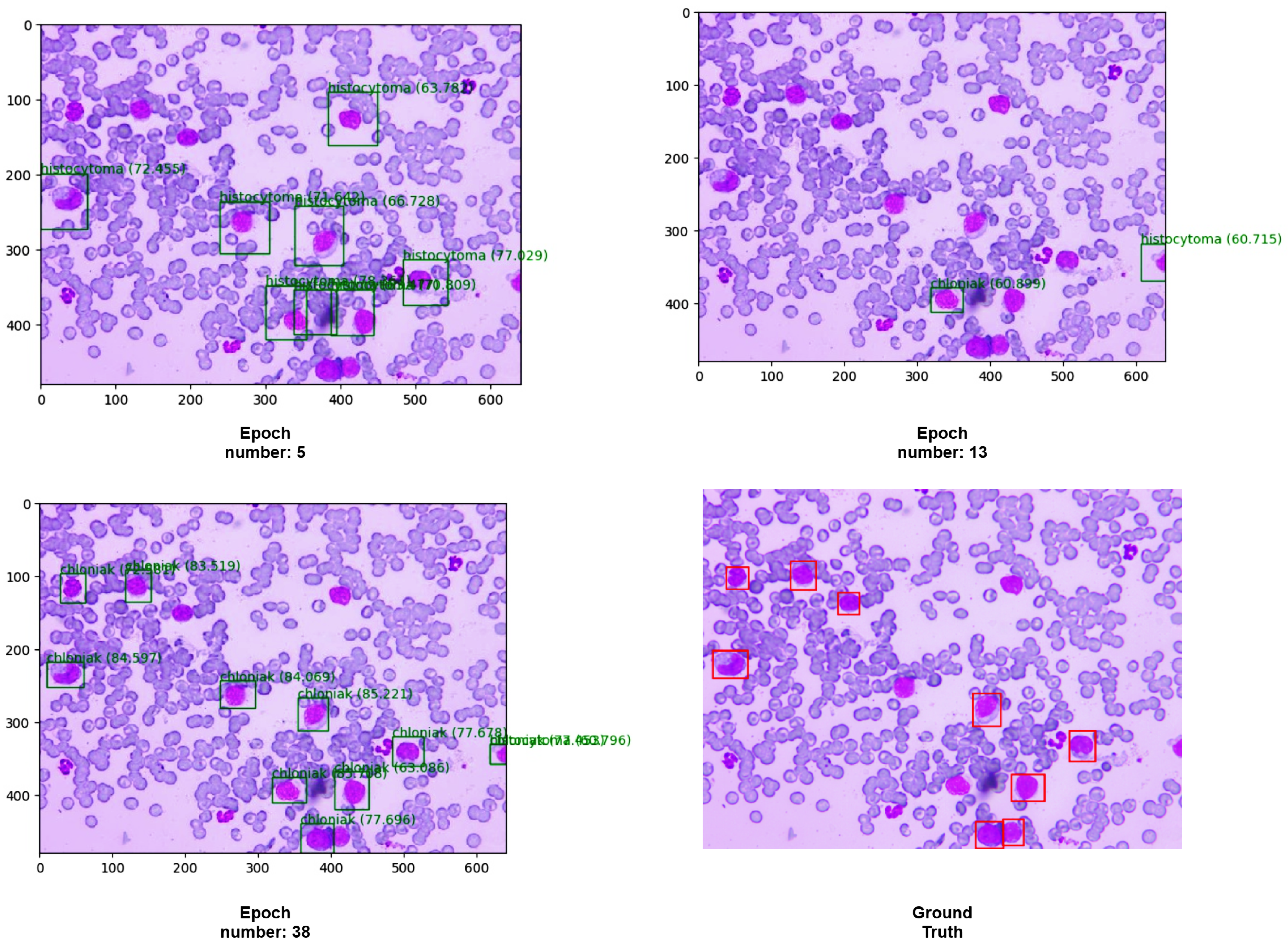 Applsci 11 07181 g011