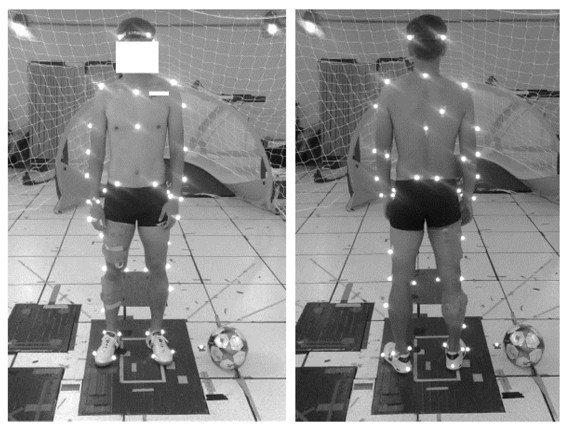 Applsci 11 07193 g001