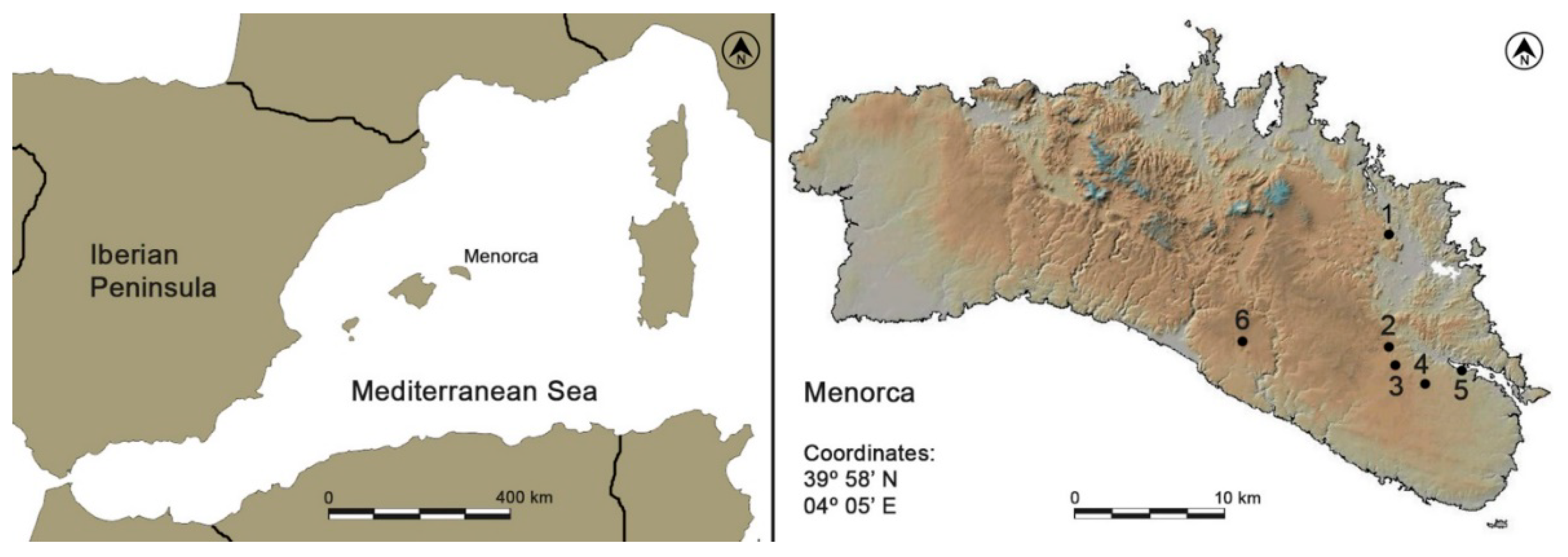 Applsci 11 07202 g001