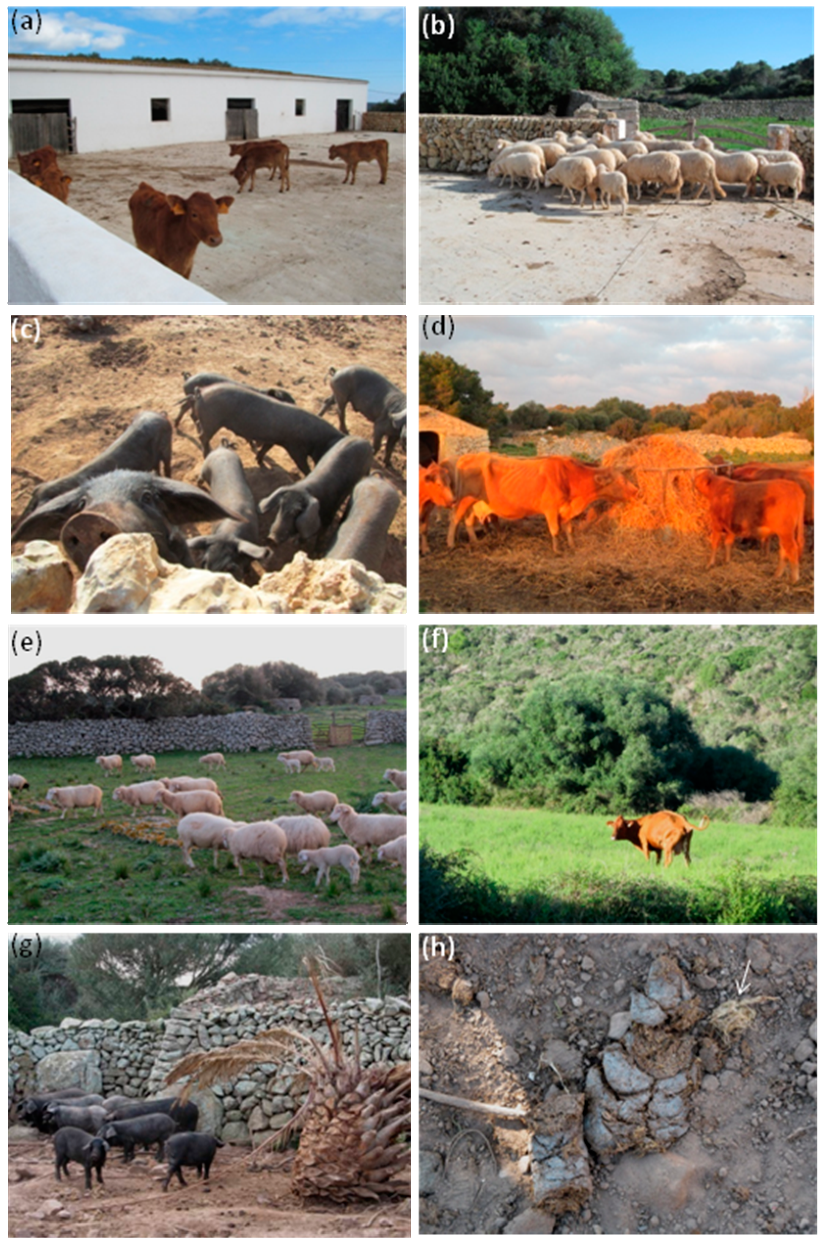 Applsci 11 07202 g002