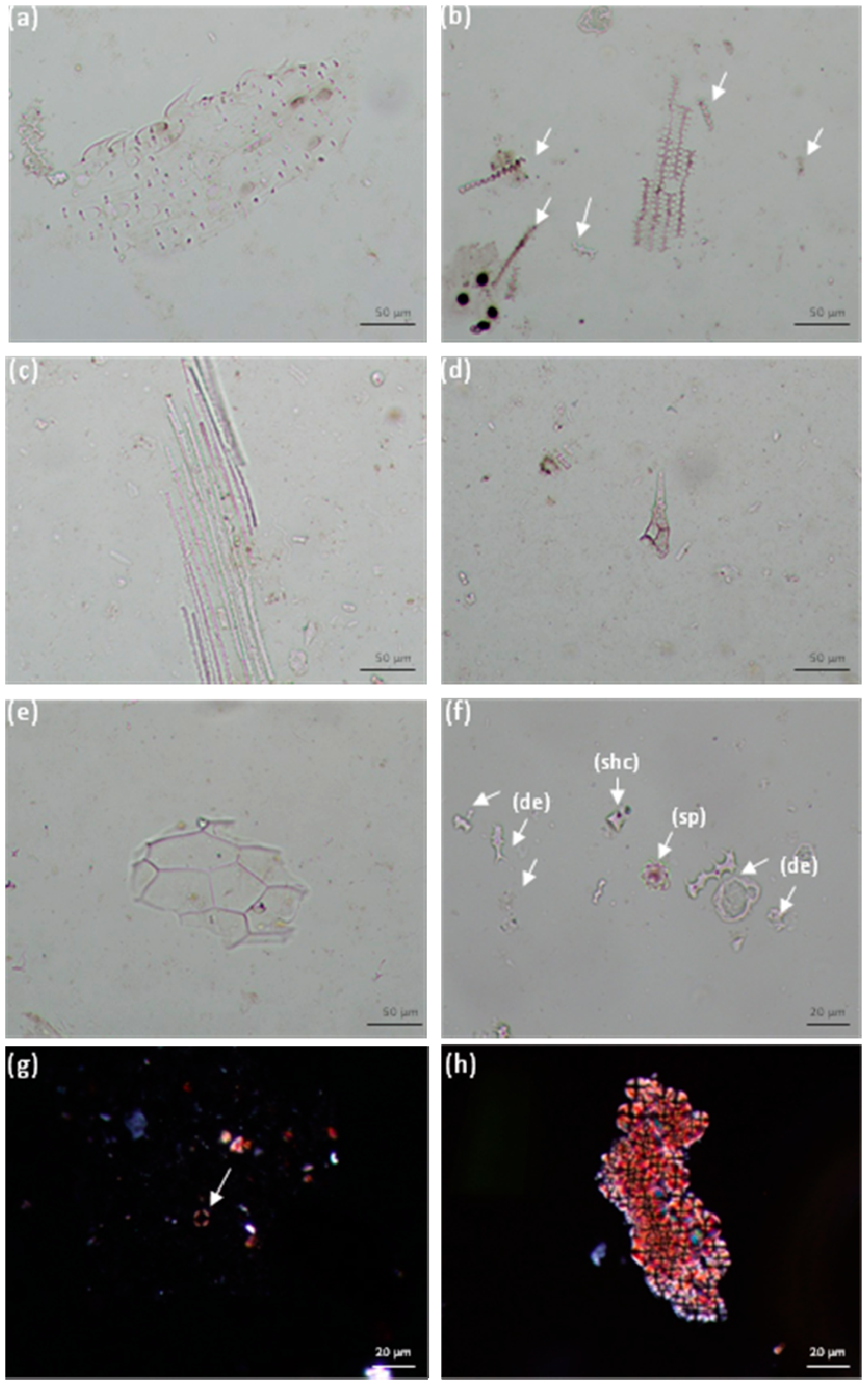 Applsci 11 07202 g006