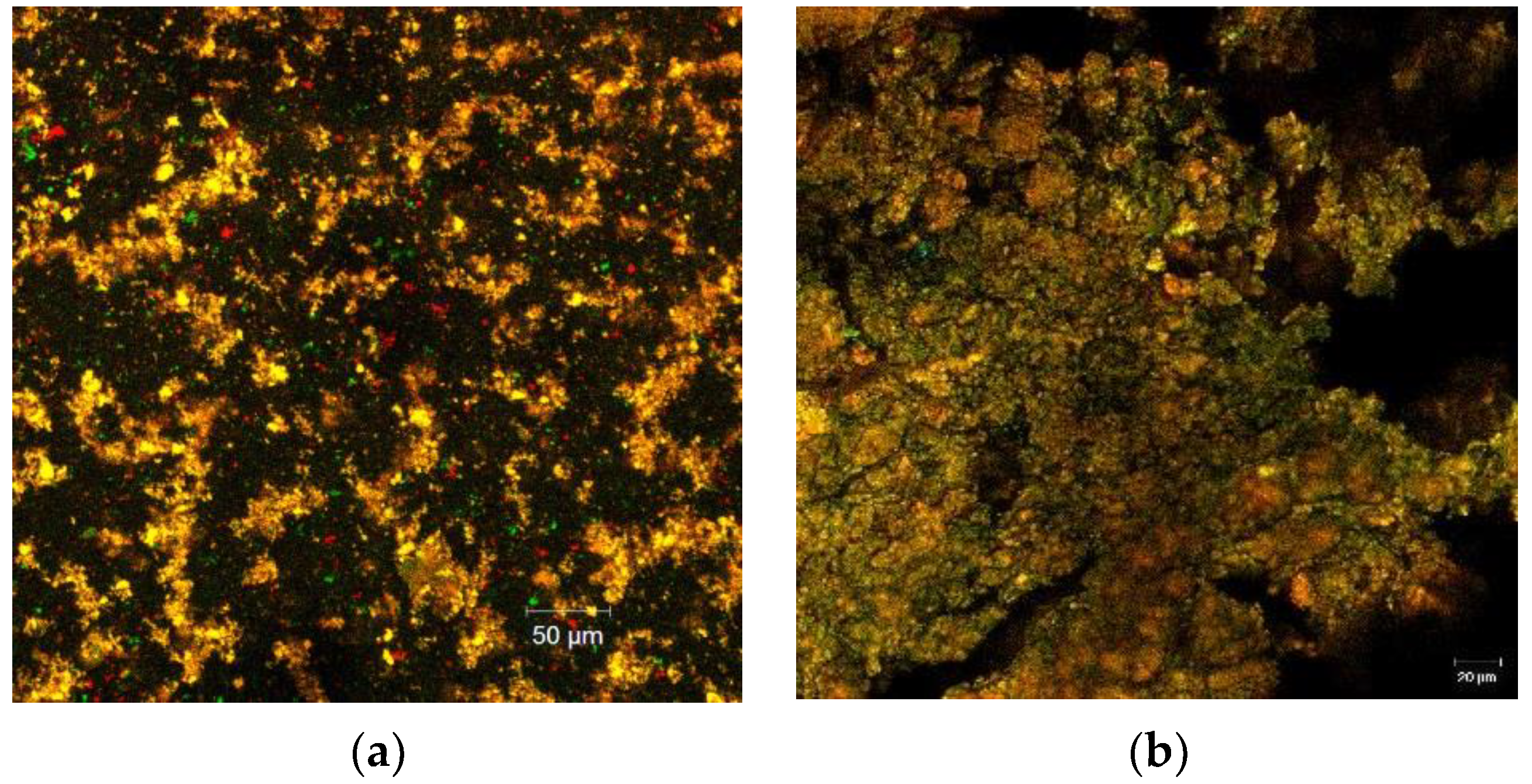 Applsci 11 07243 g001