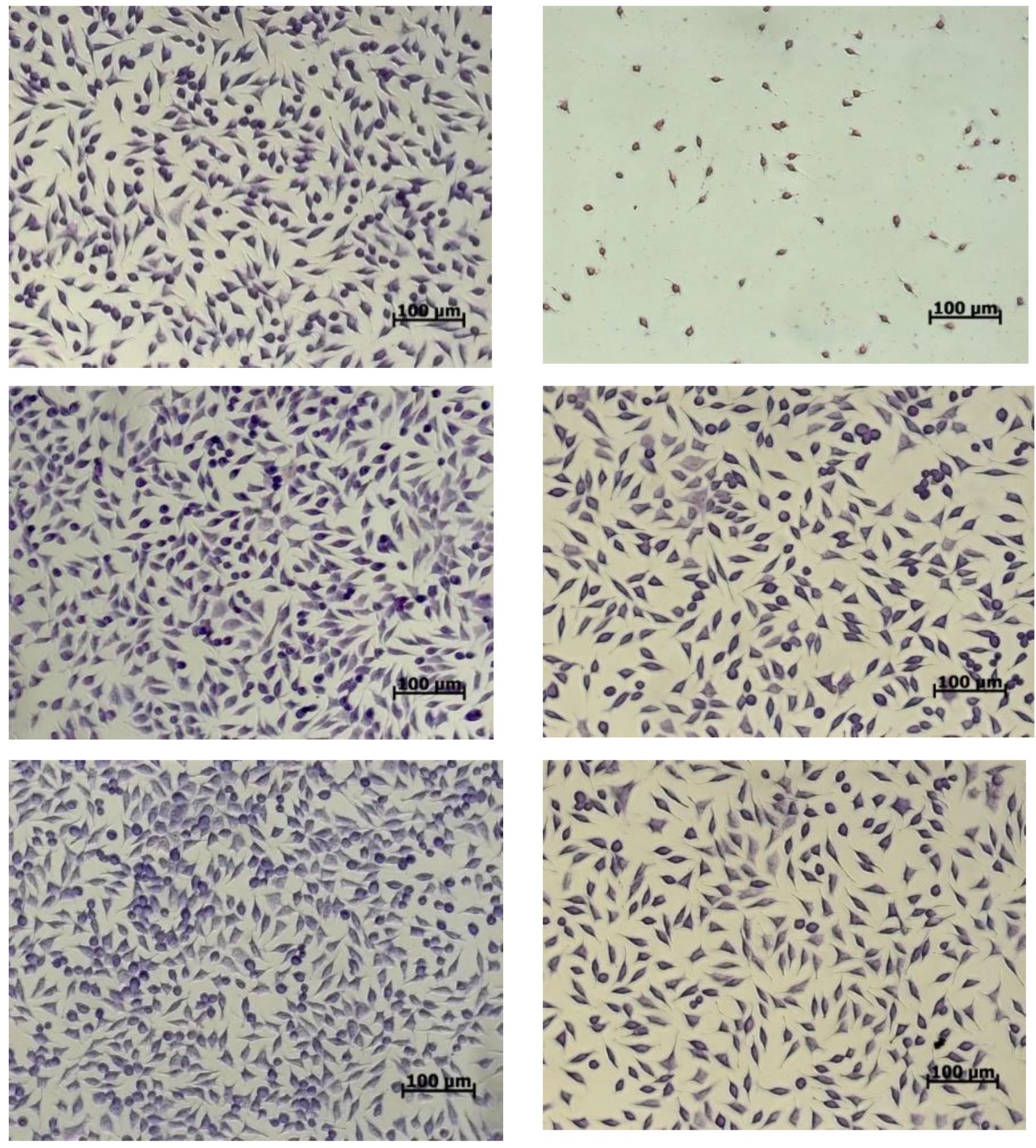 Applsci 11 07243 g004