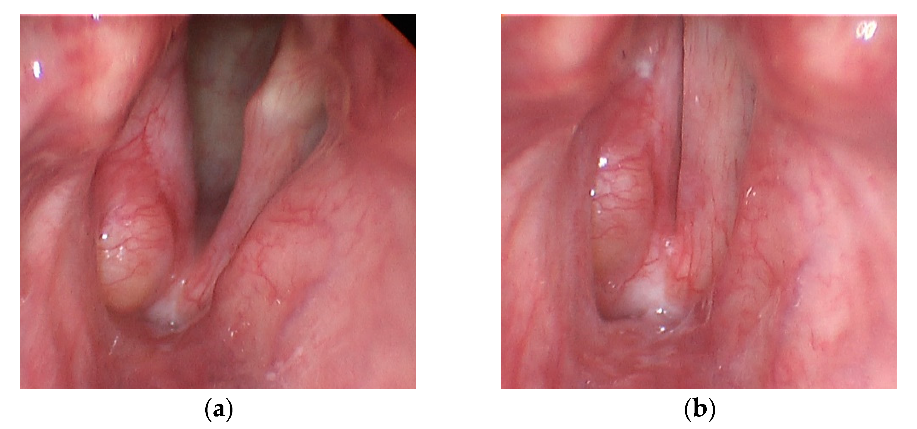 Applsci 11 07256 g001