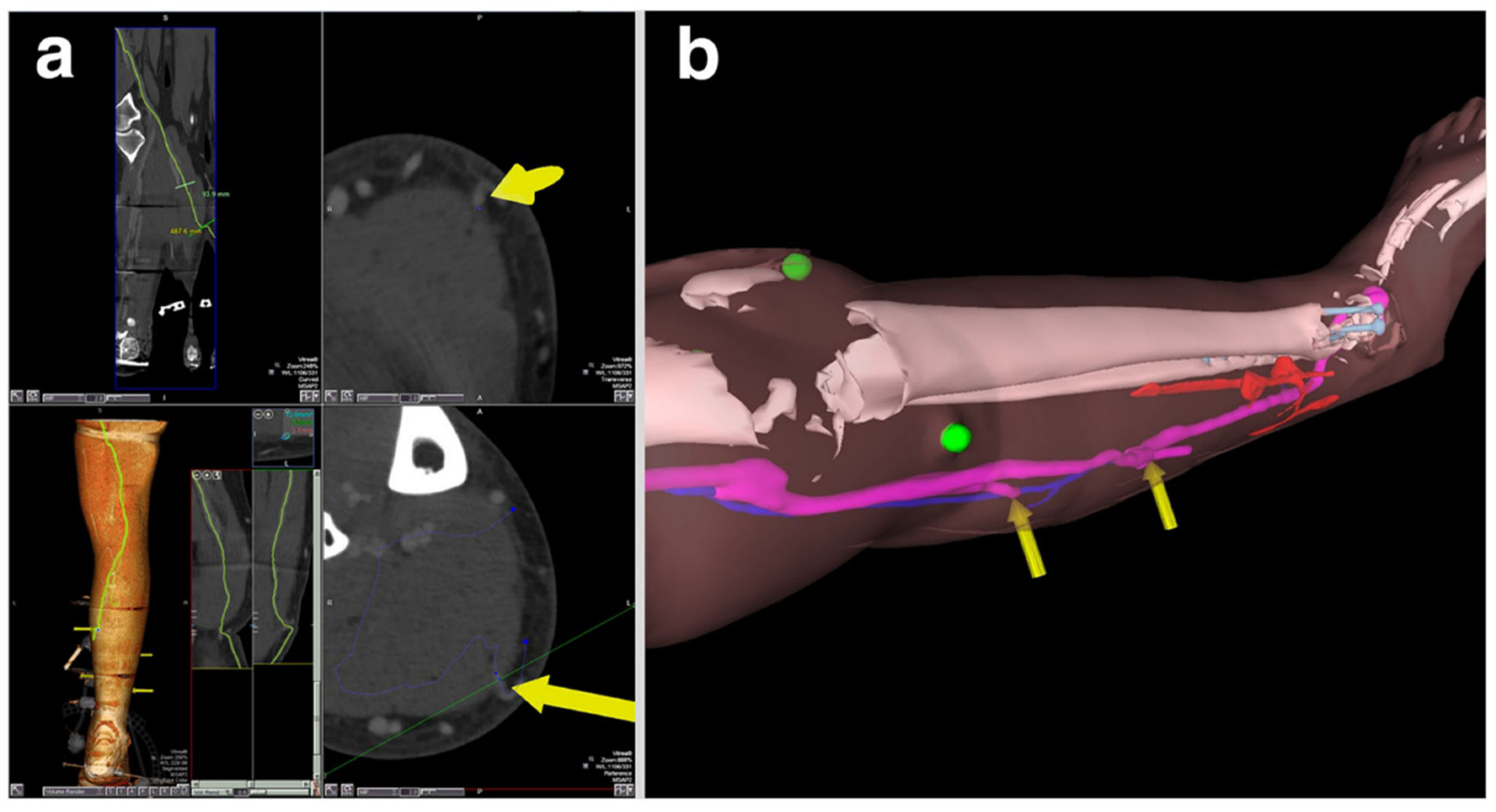 Applsci 11 07259 g003