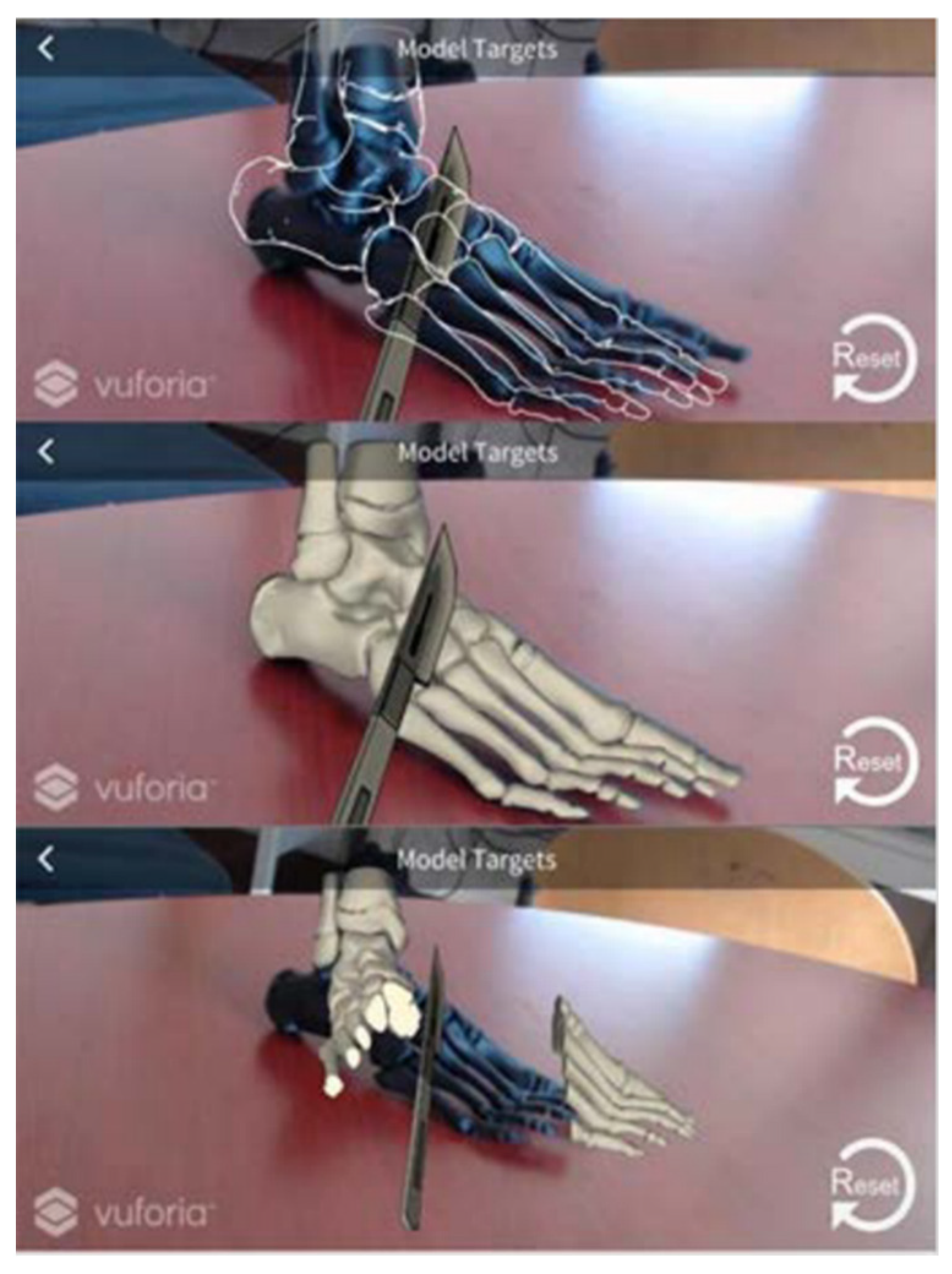 Applsci 11 07259 g007